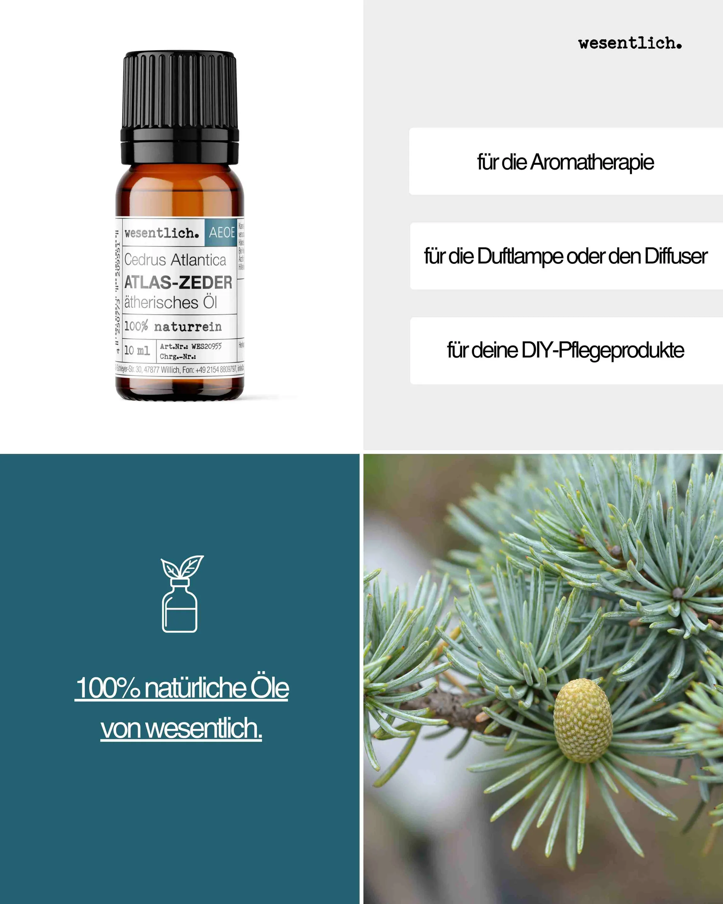 Atlas-Zedernholz 10ml