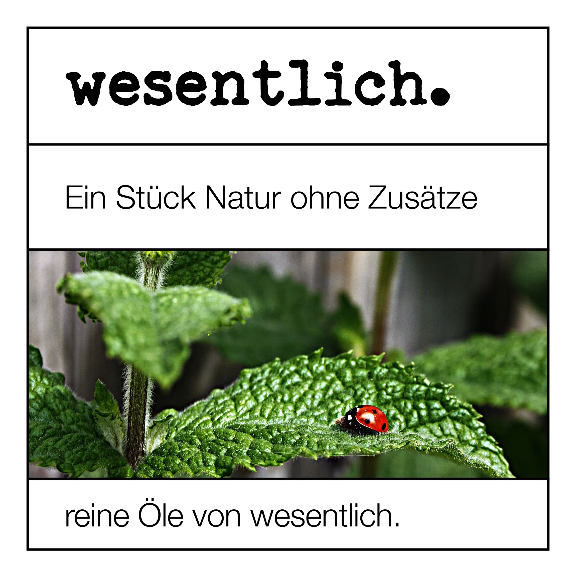 Set aus 8 ausgewählten ätherischen Ölen - "No.3" 8x10ml