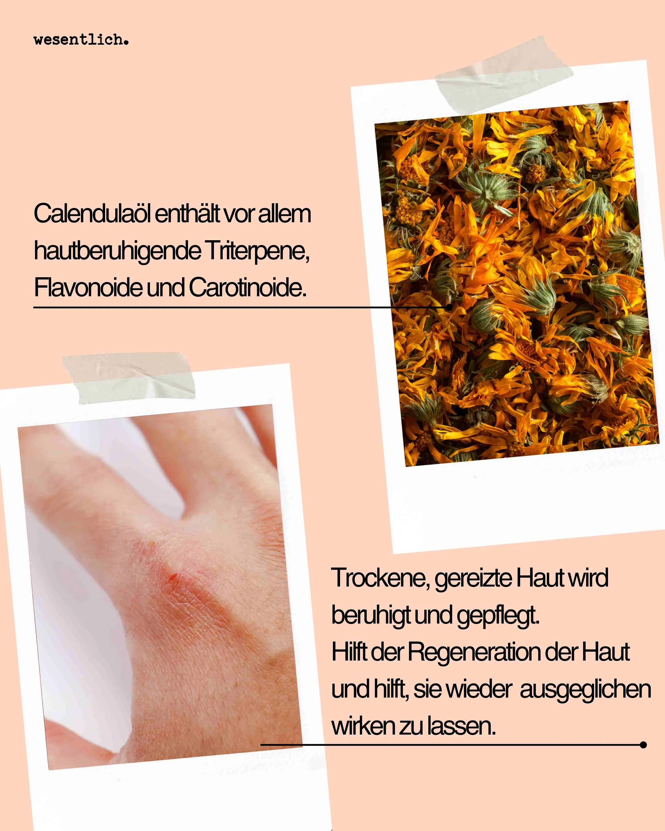 Calendulaöl bio 100ml