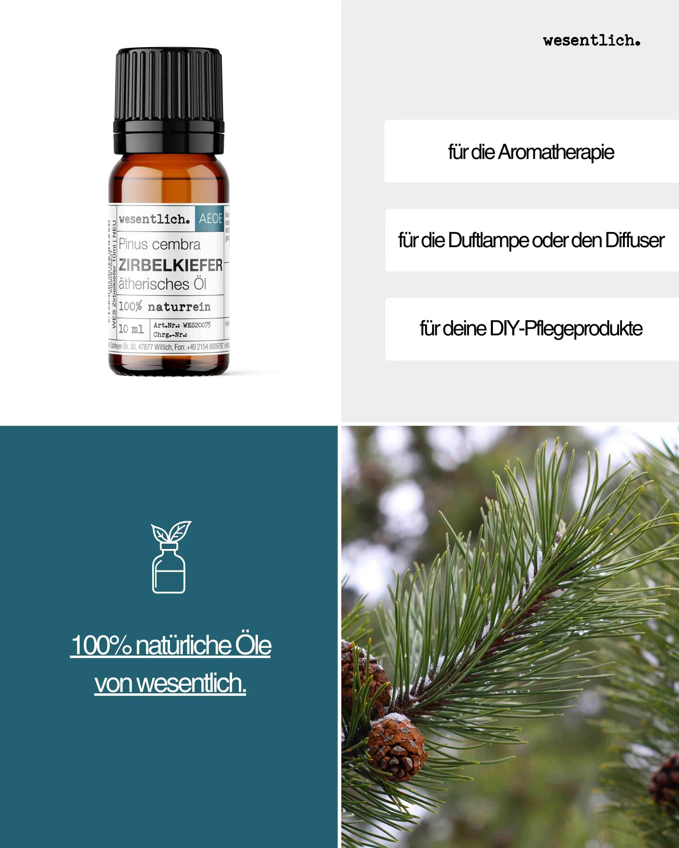 Zirbelkiefer 10ml