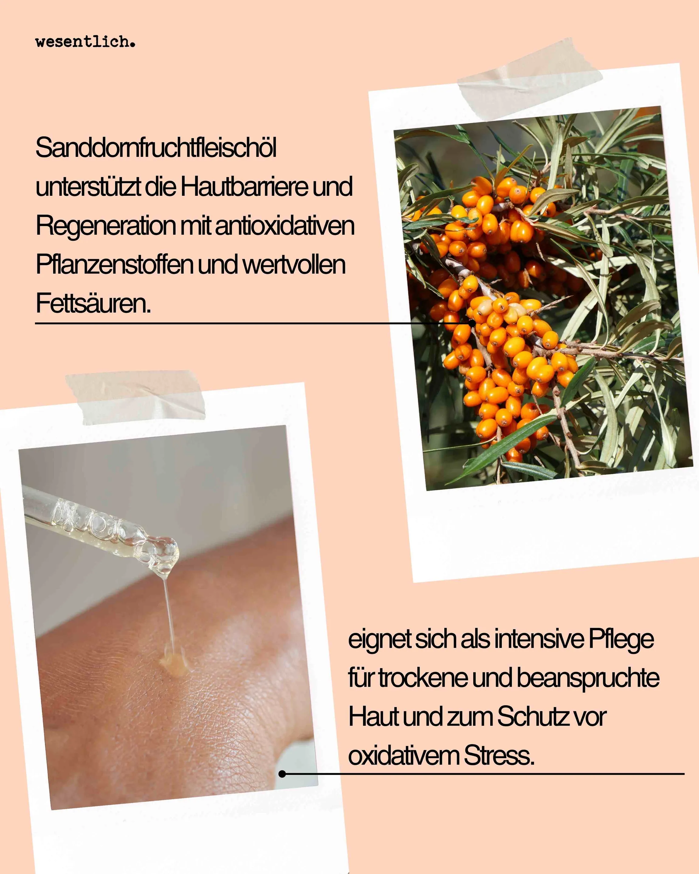 Sanddornfruchtfleischöl bio 50ml