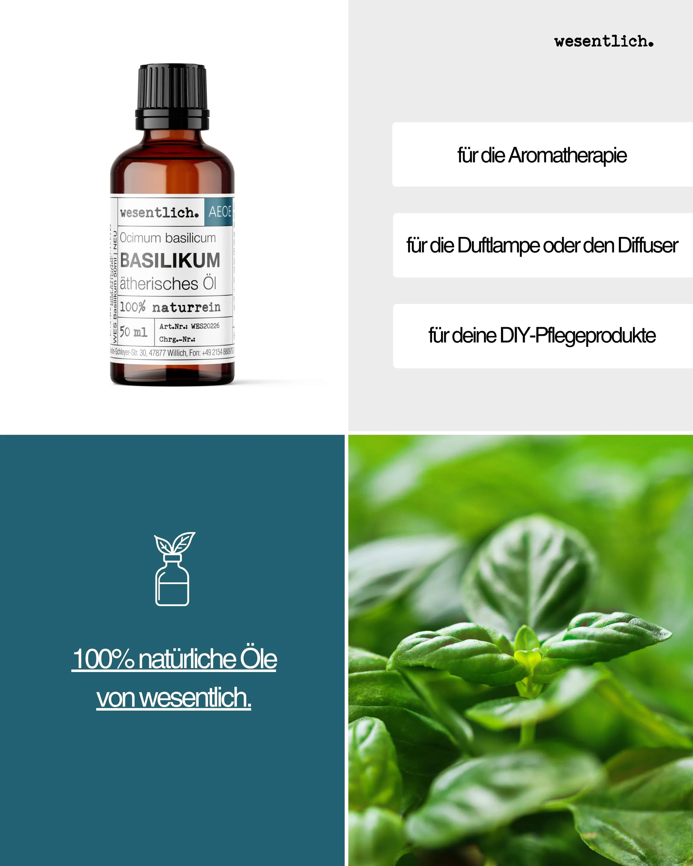 Basilikum 50ml