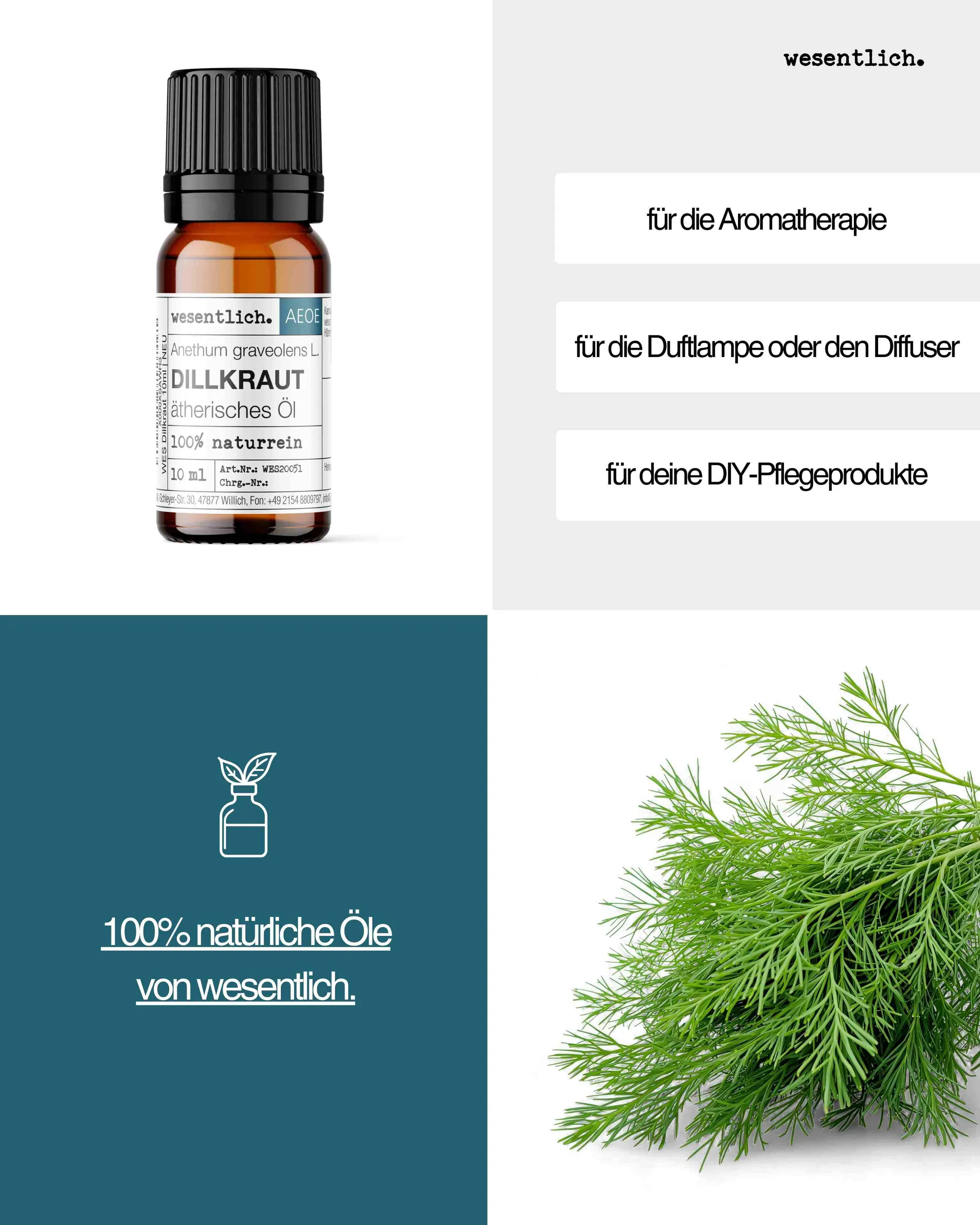 Dillkraut 10ml