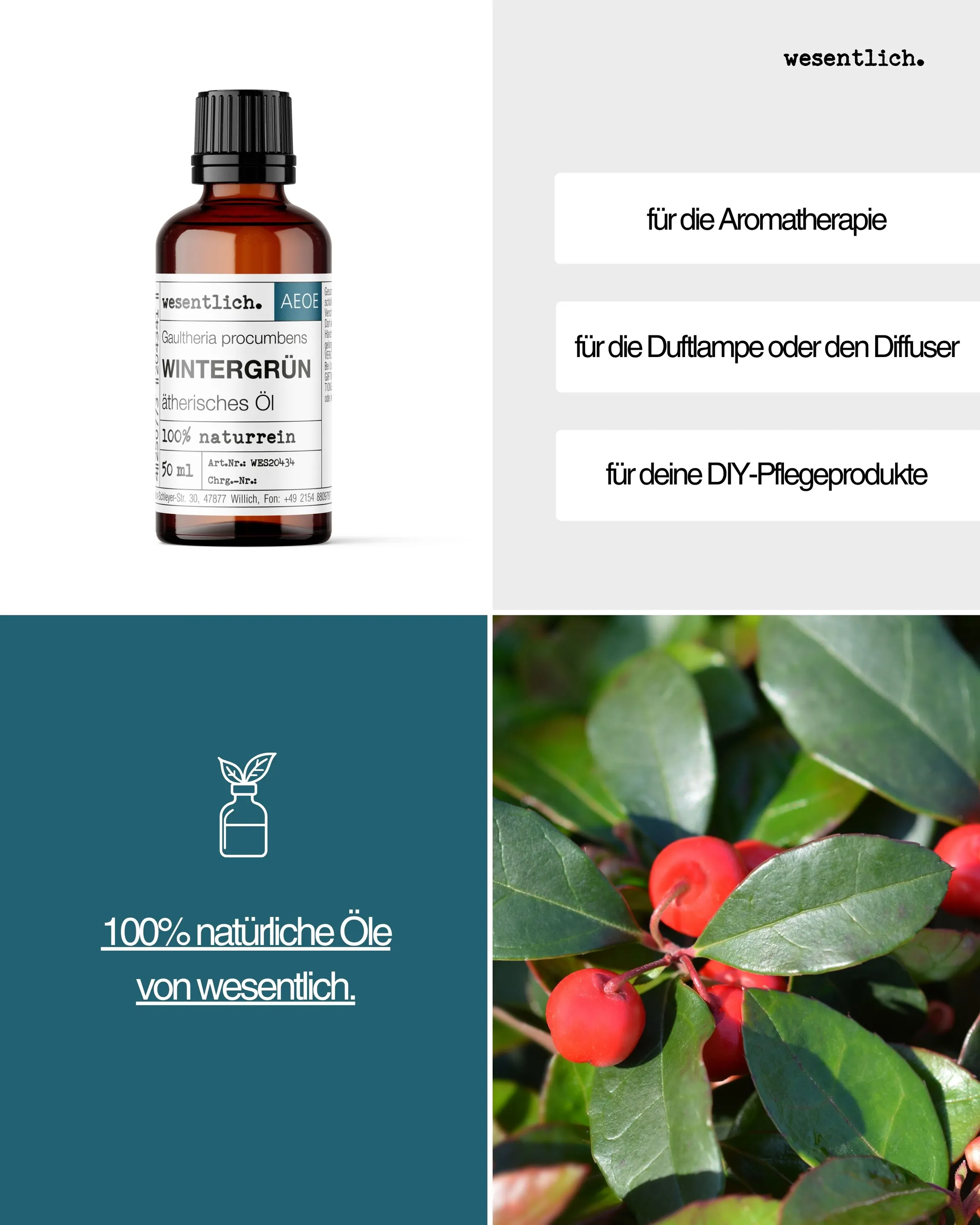 Wintergrün 50ml