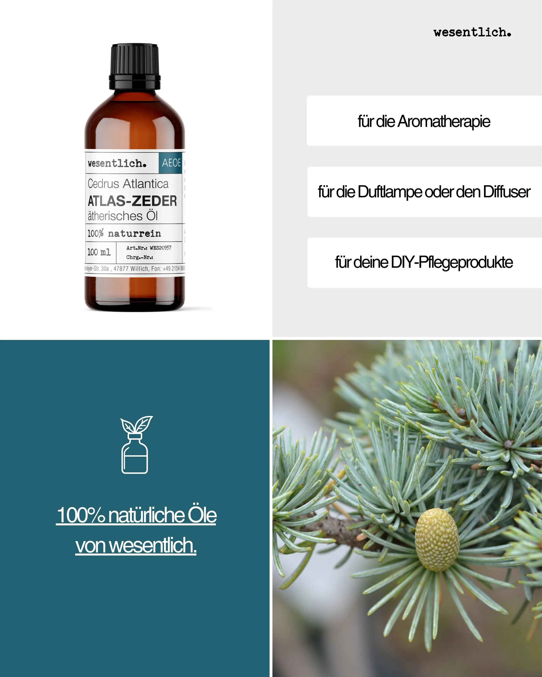 Atlas-Zedernholz 100ml