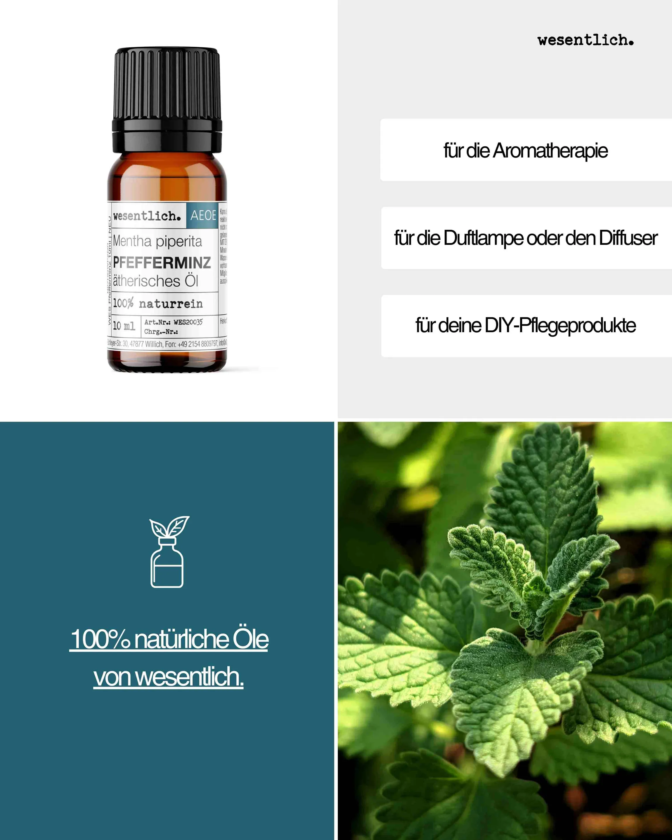 Pfefferminz  10ml