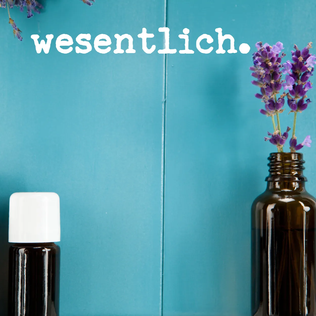 Seidenprotein 100ml