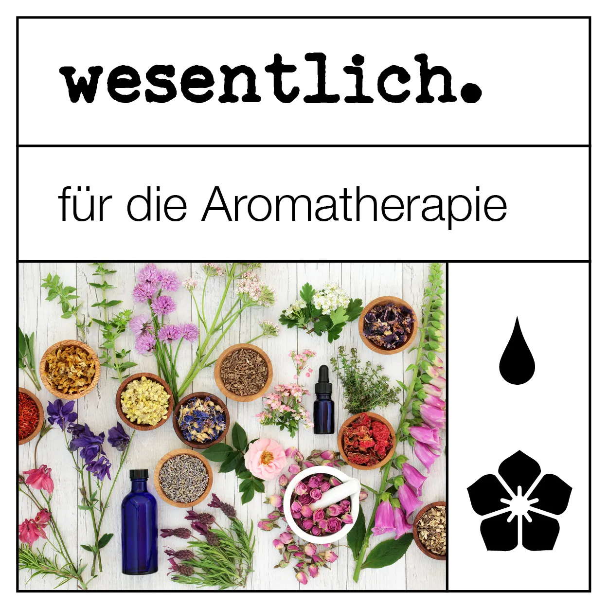 Vetiver