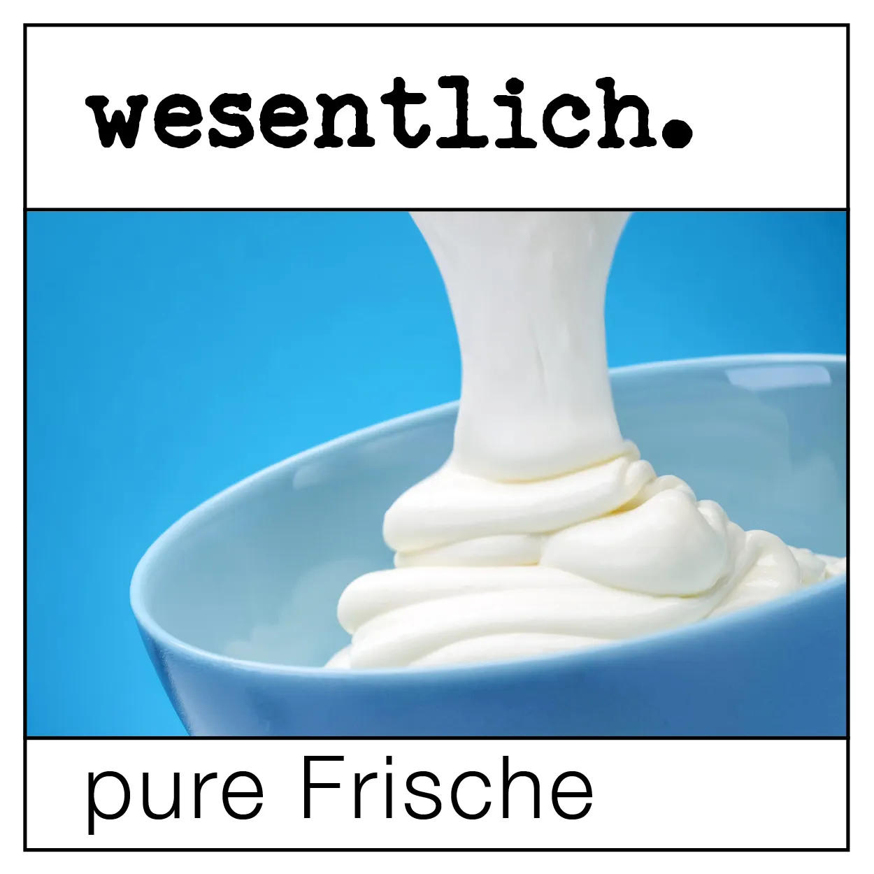 Joghurtkultur 10g wesentlich