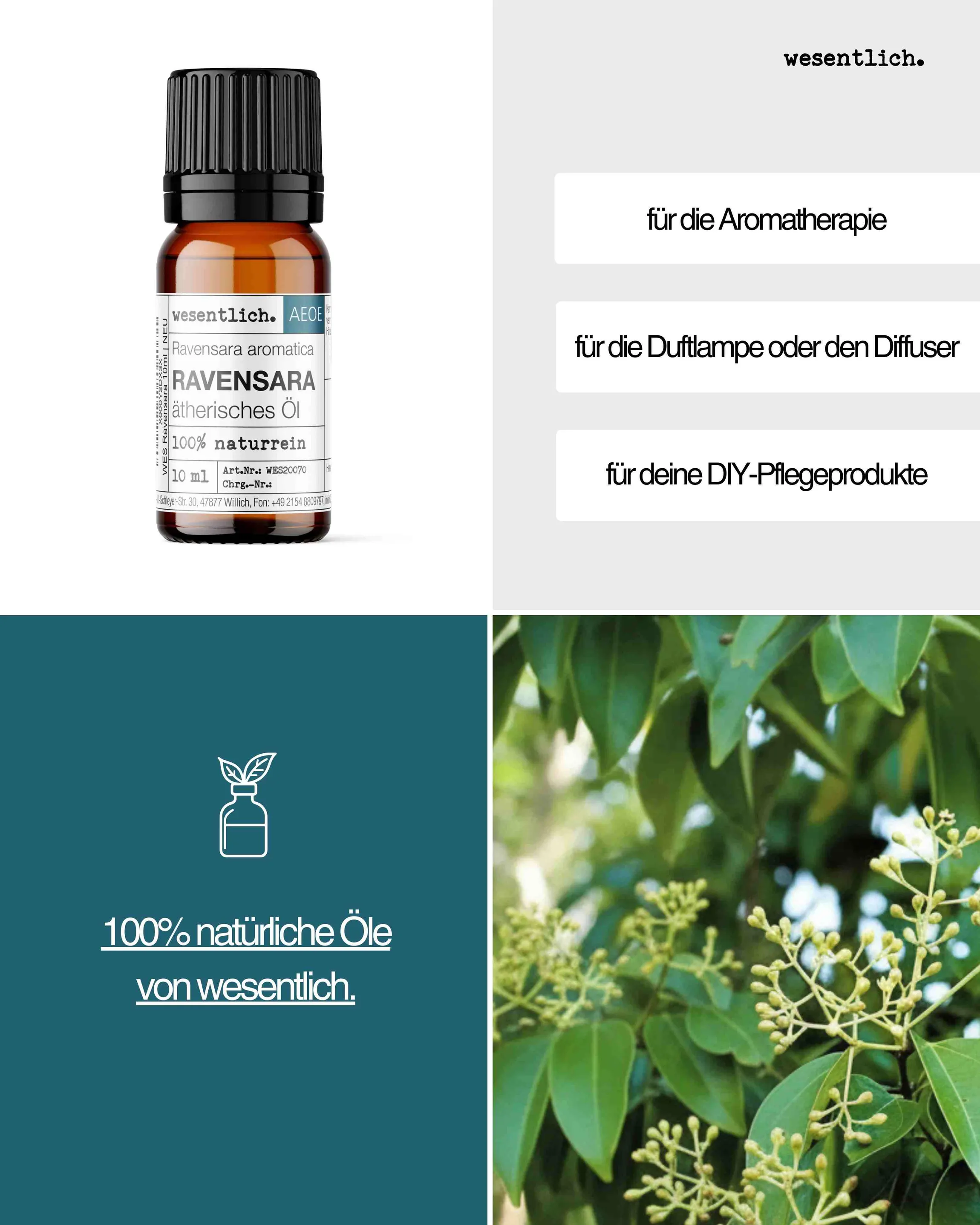 Ravensara  10ml