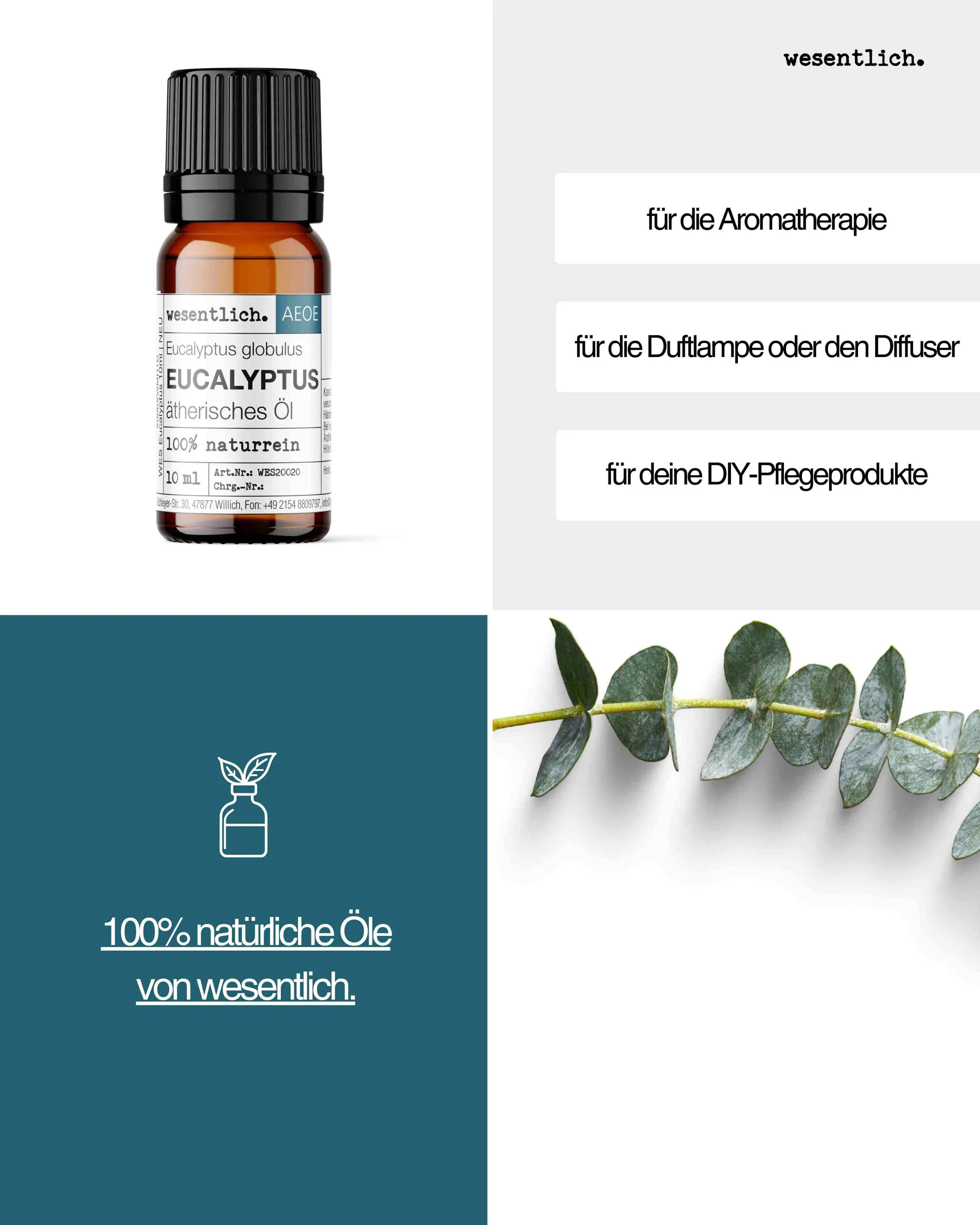 Eukalyptus 10ml