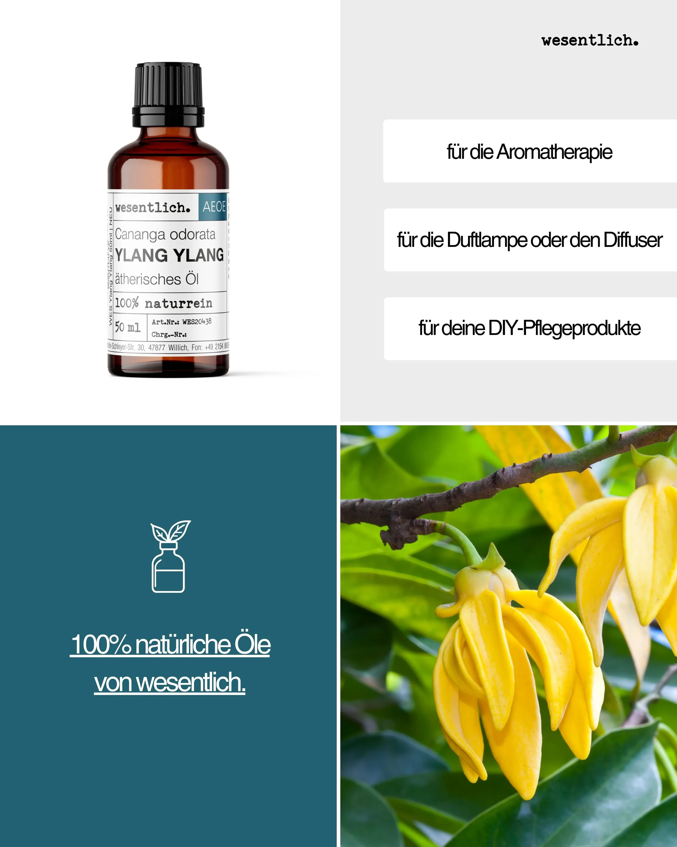 Ylang Ylang 50ml