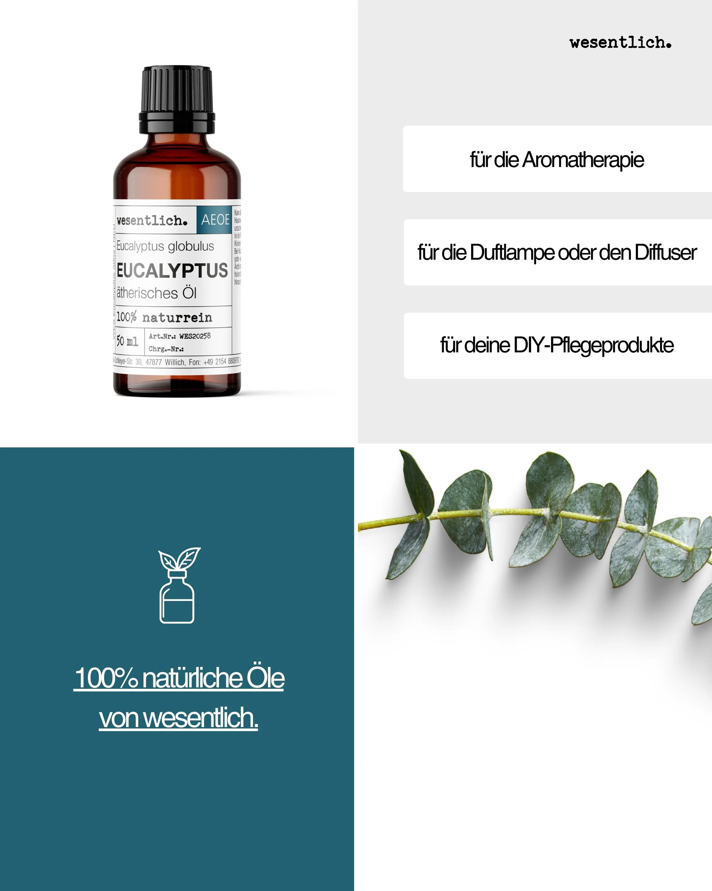 Eukalyptus 50ml