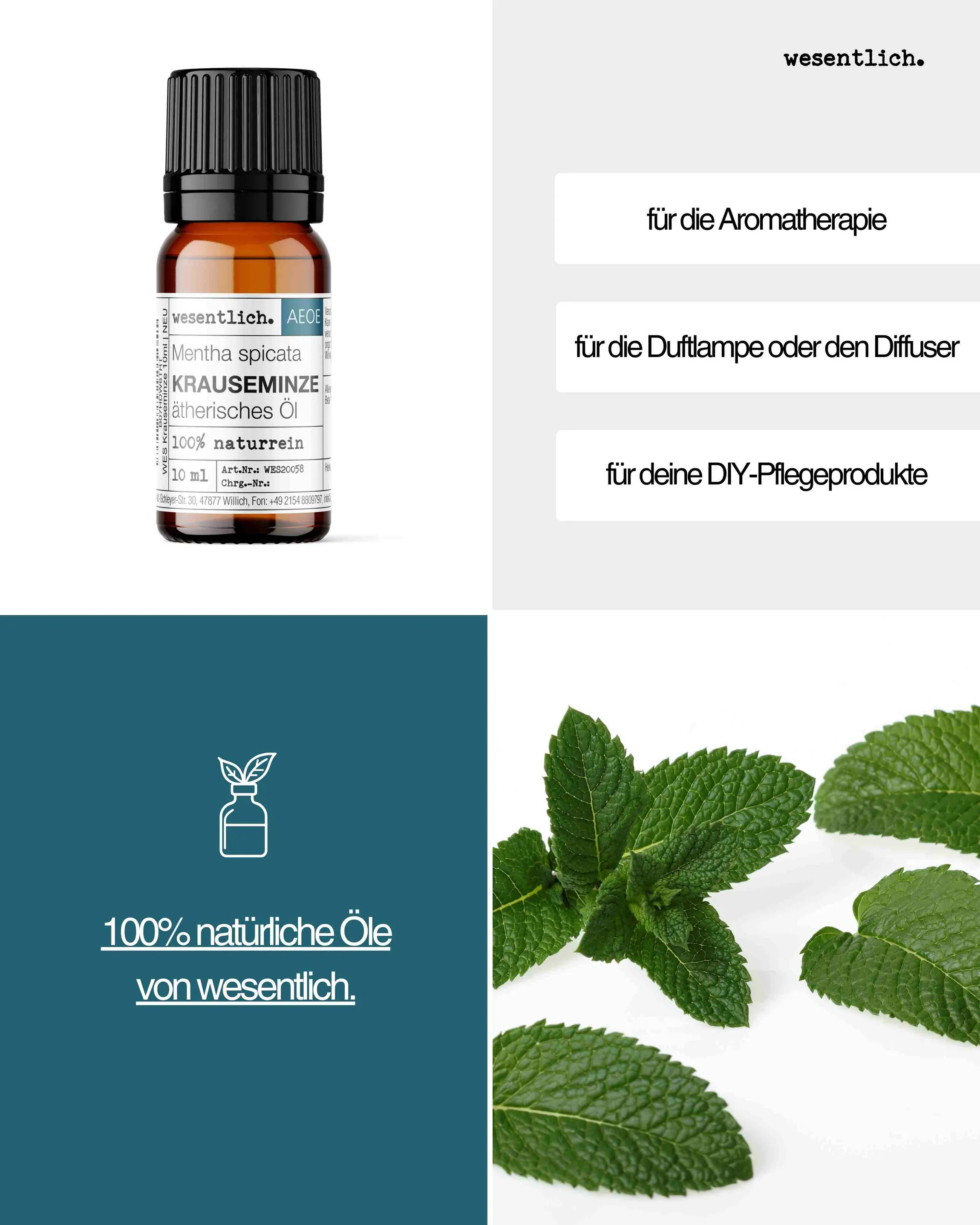 Krauseminze  10ml
