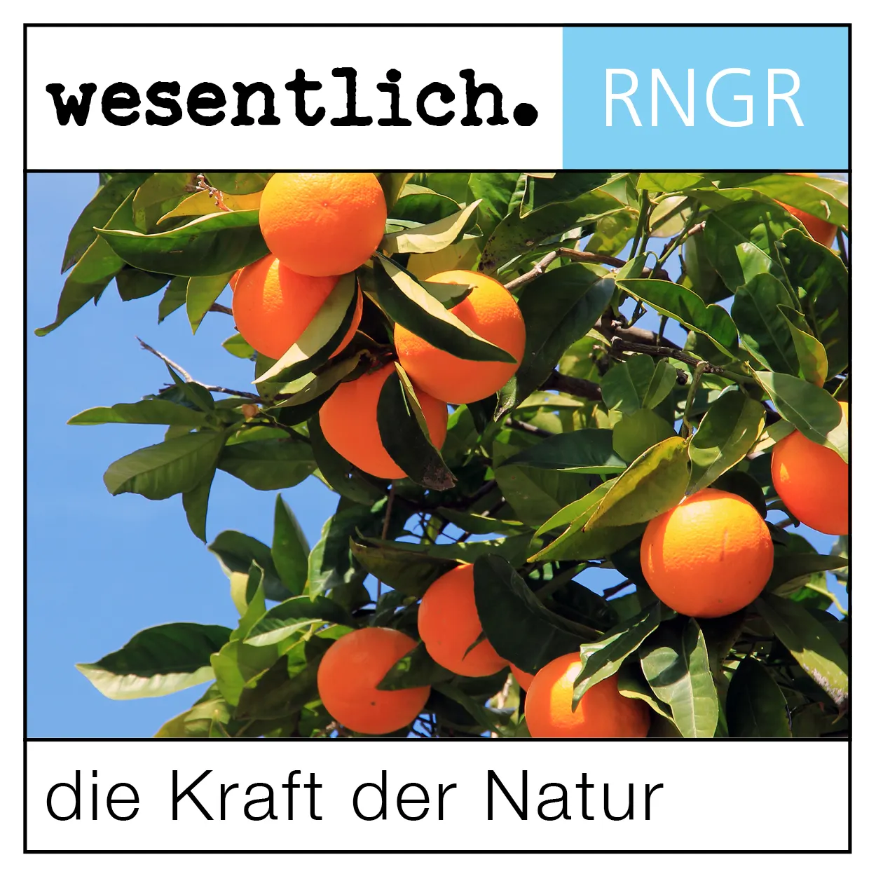 Orangenkraftreiniger 500ml