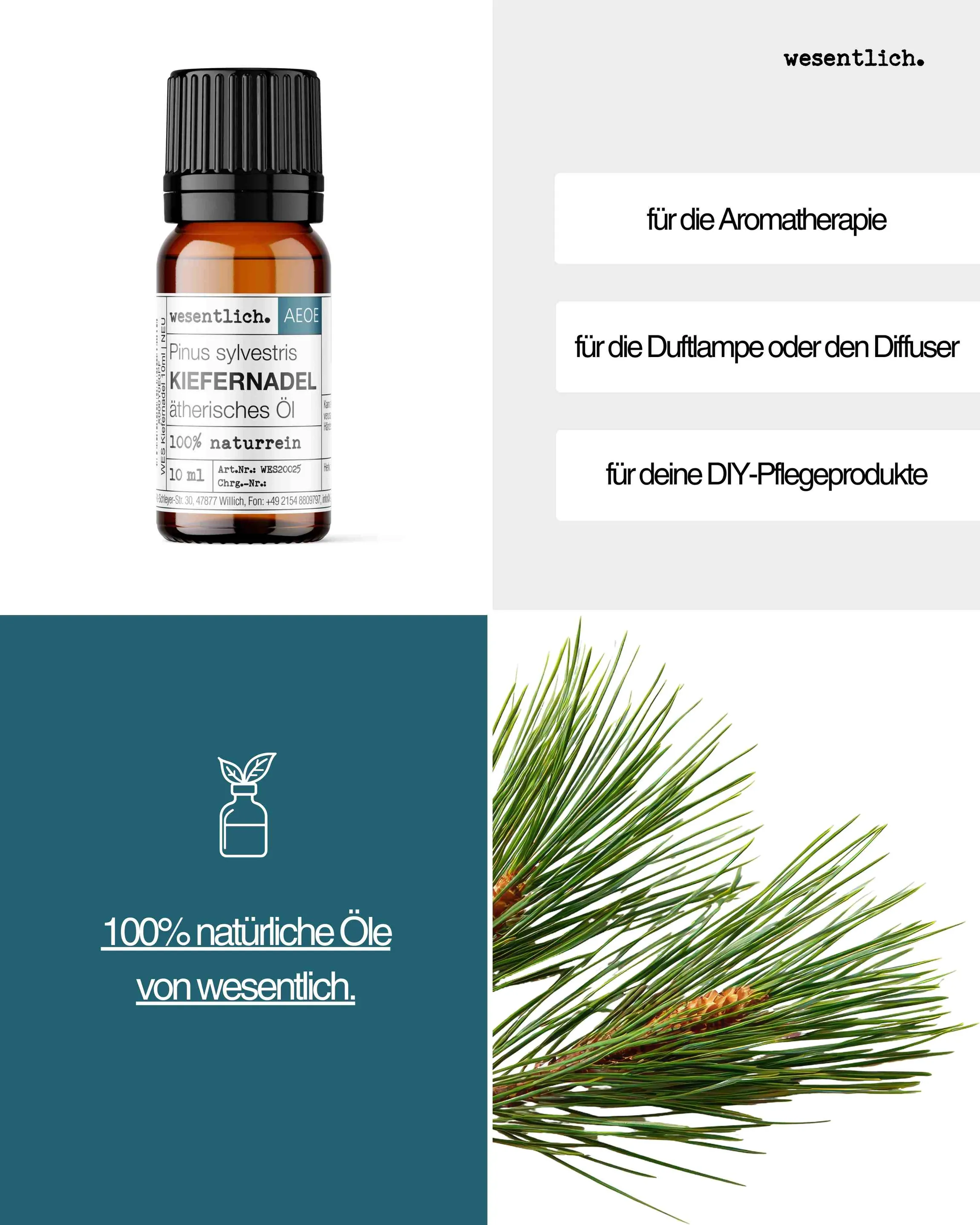 Kiefernadel 10ml