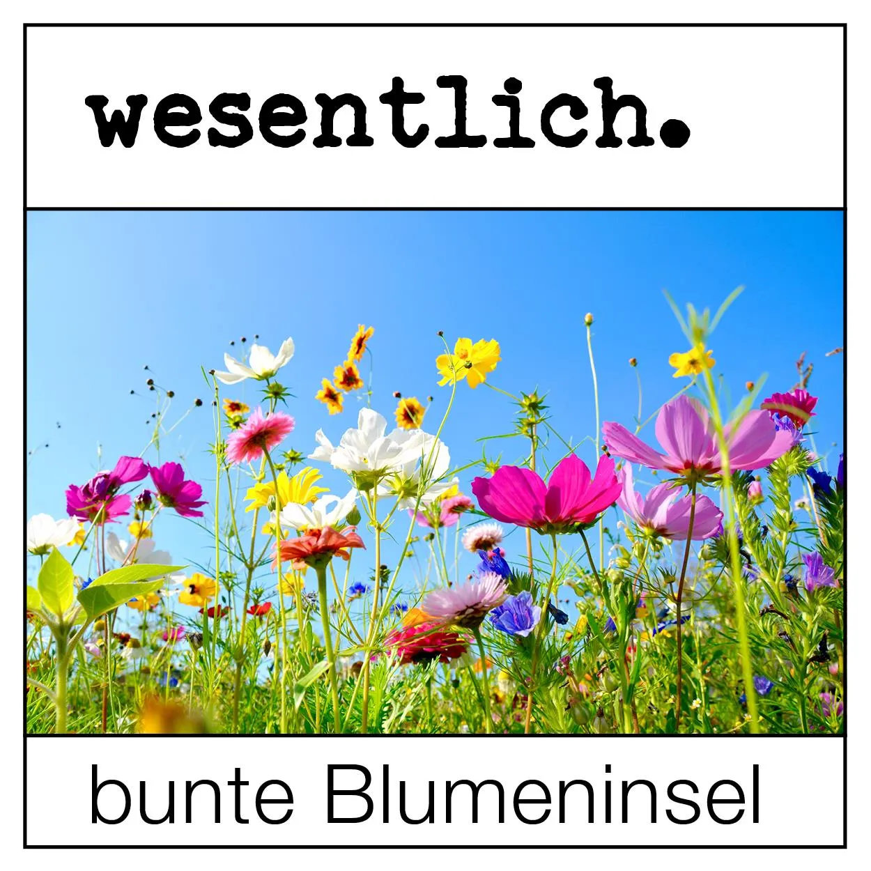 Wildblumenmischung
