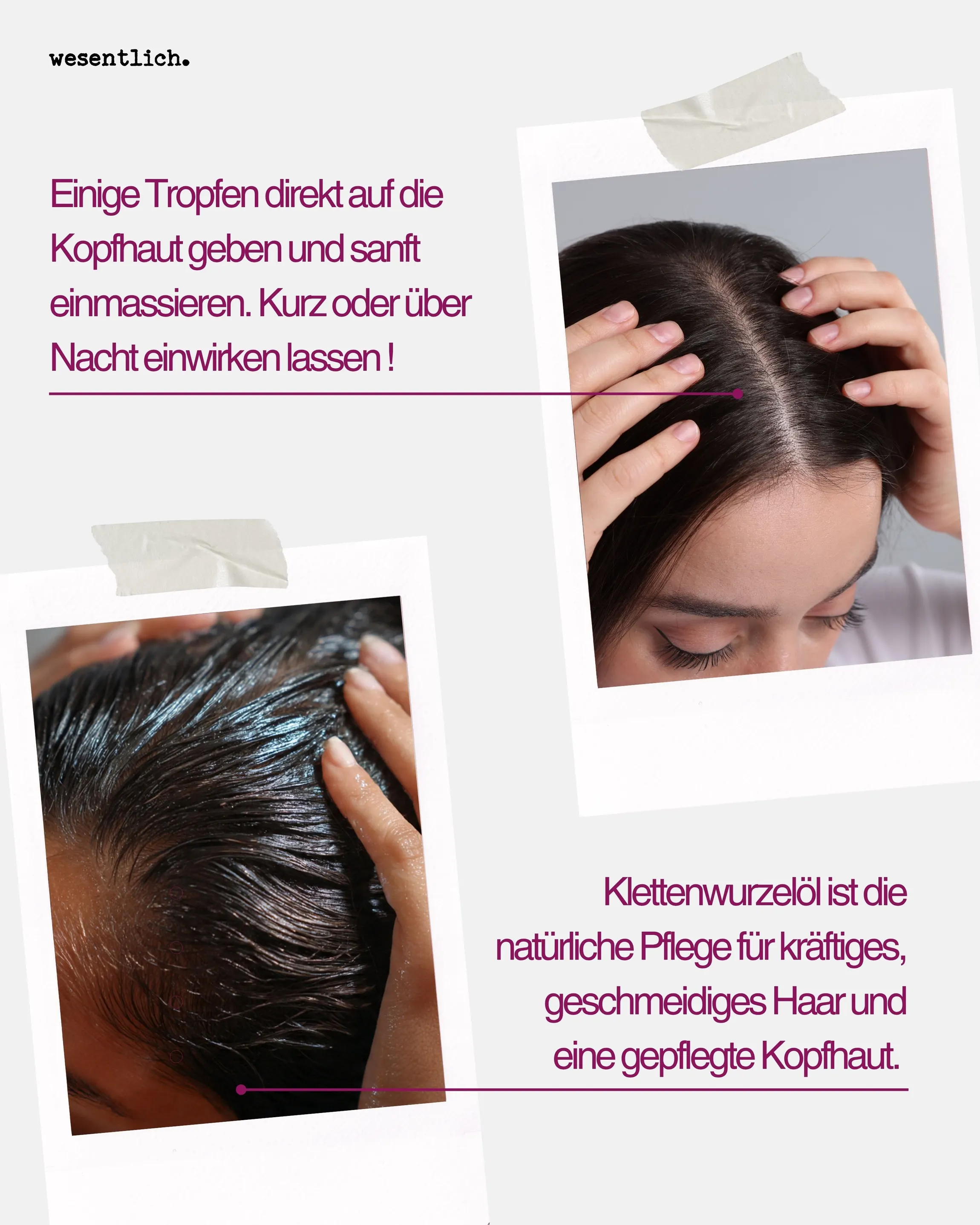 Klettenwurzelöl 50ml