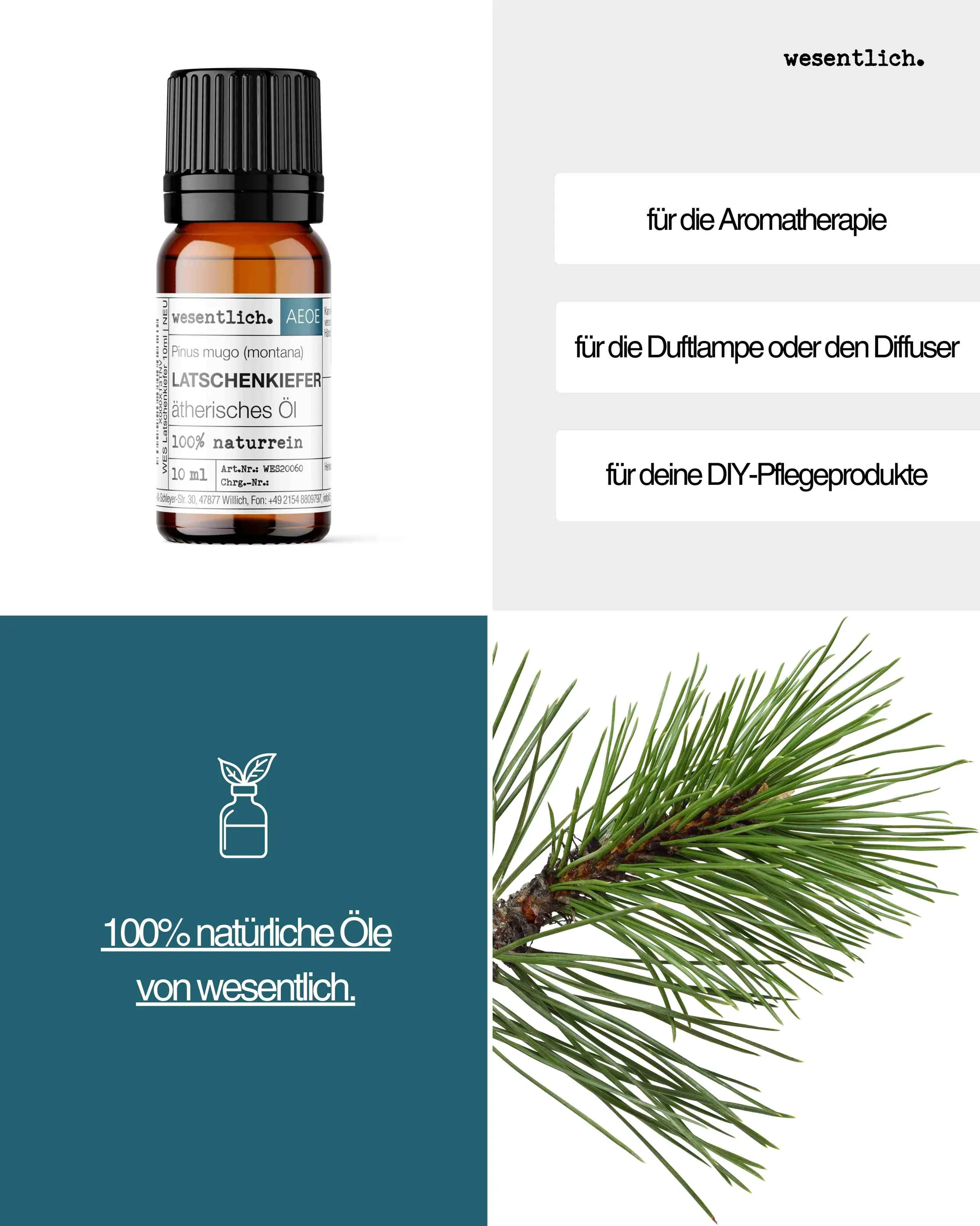 Latschenkiefer 10ml