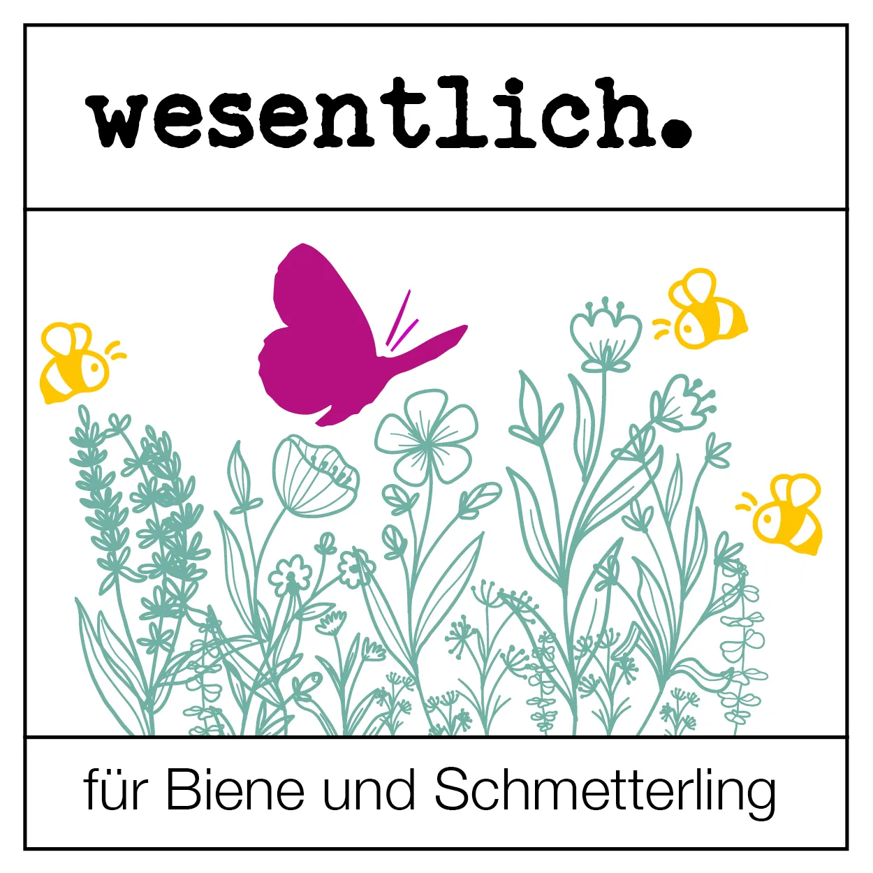 Sonnenblumensaat - Helianthus Uniflorus