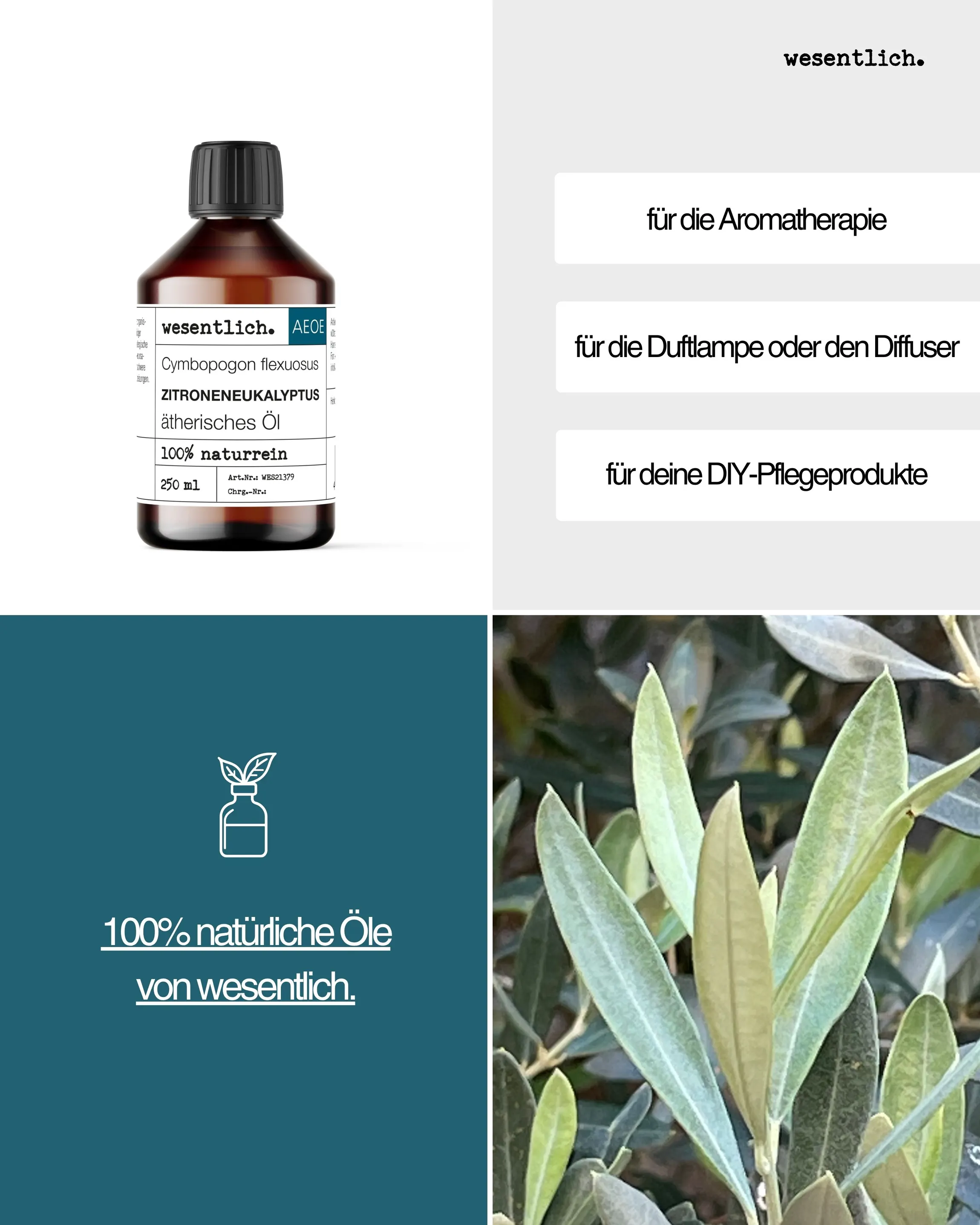 Zitroneneukalyptus  250ml