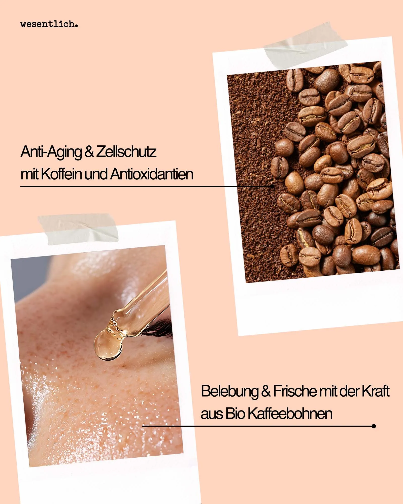 Kaffeebohnenöl 50ml