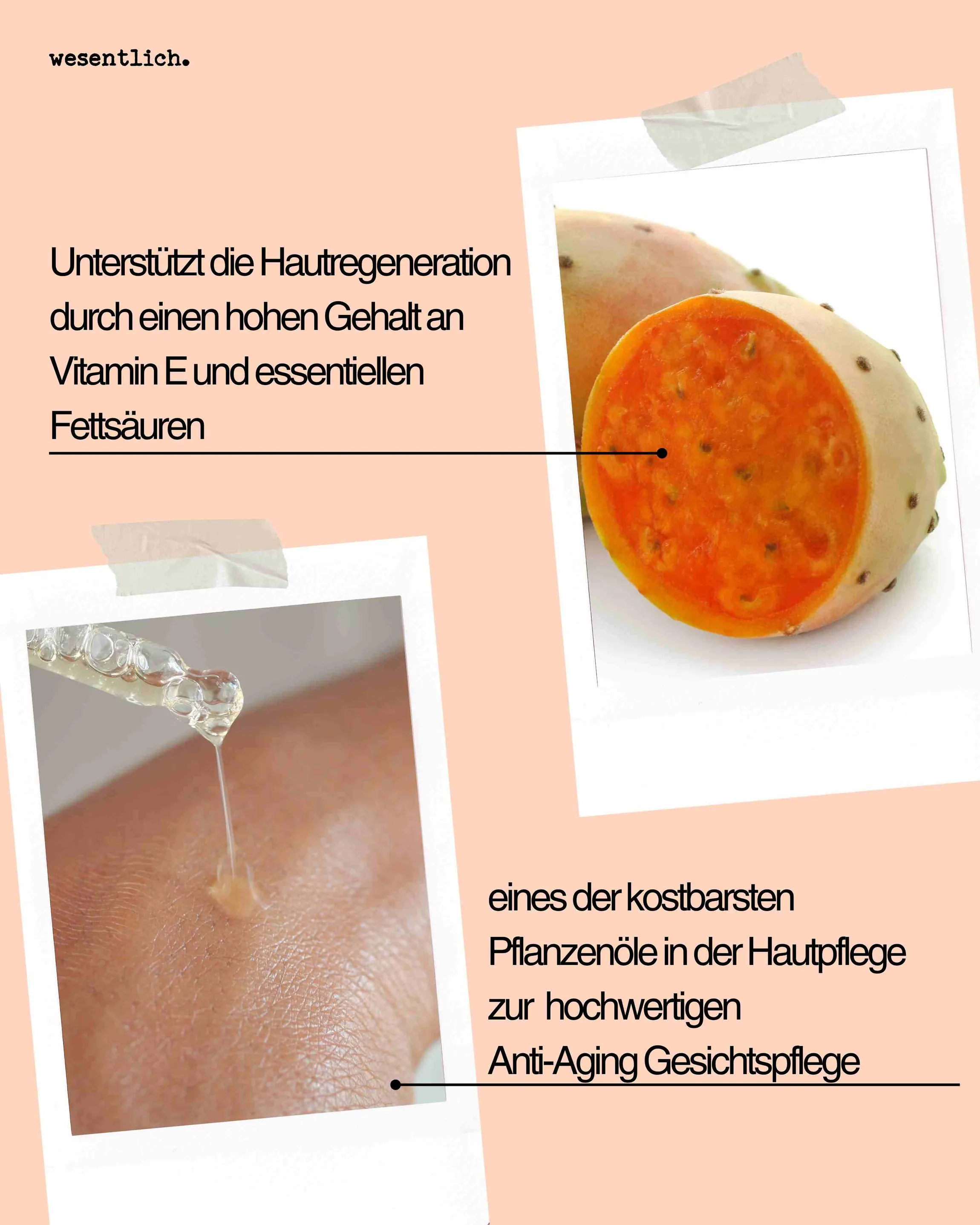 Kaktusfeigenkernöl bio 10ml