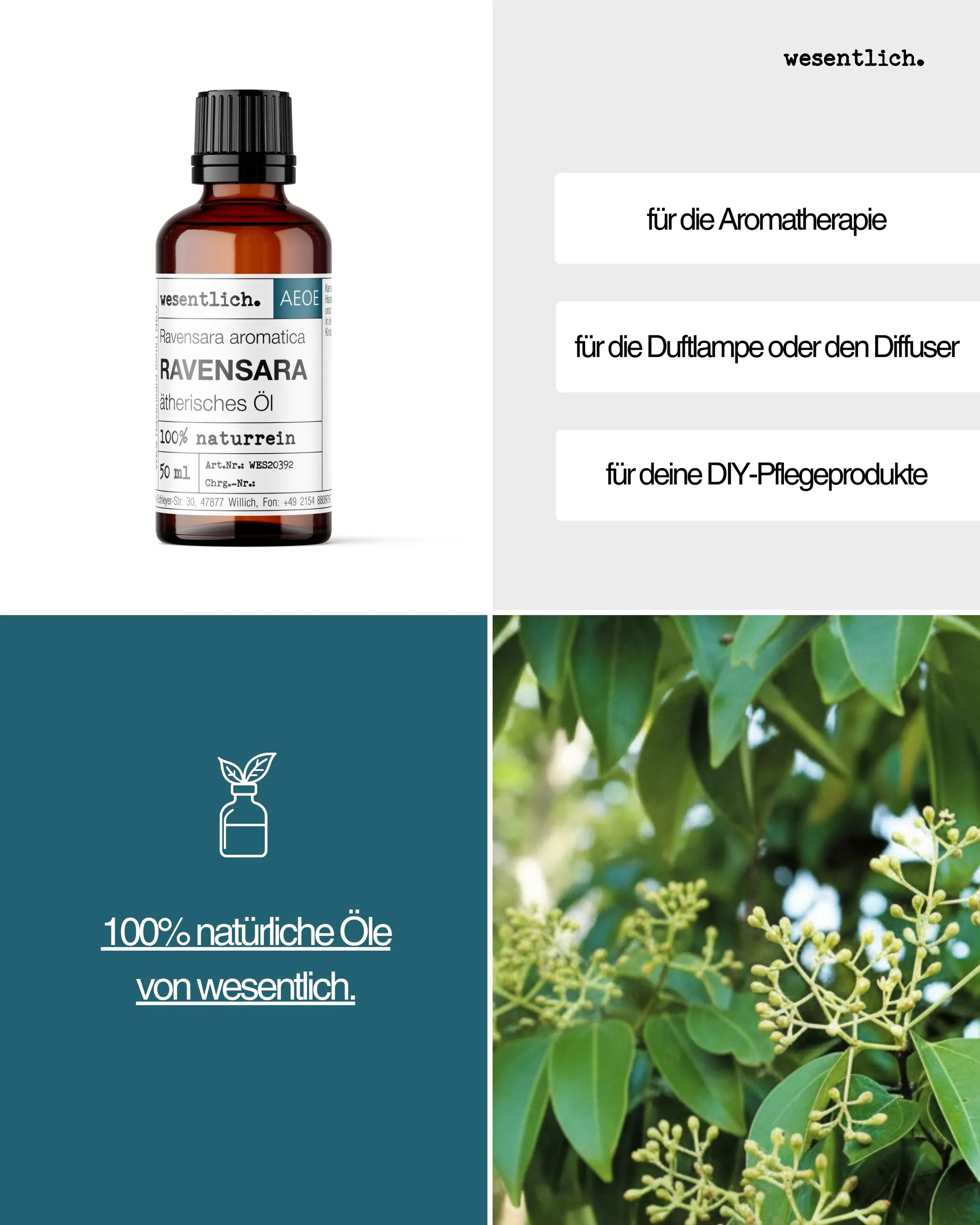 Ravensara 50ml