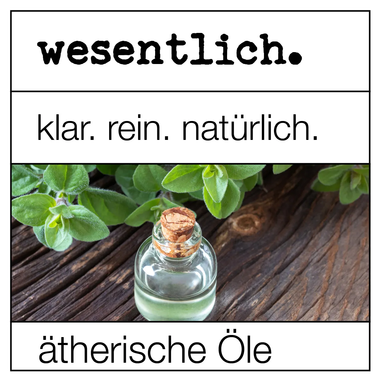 Vetiver