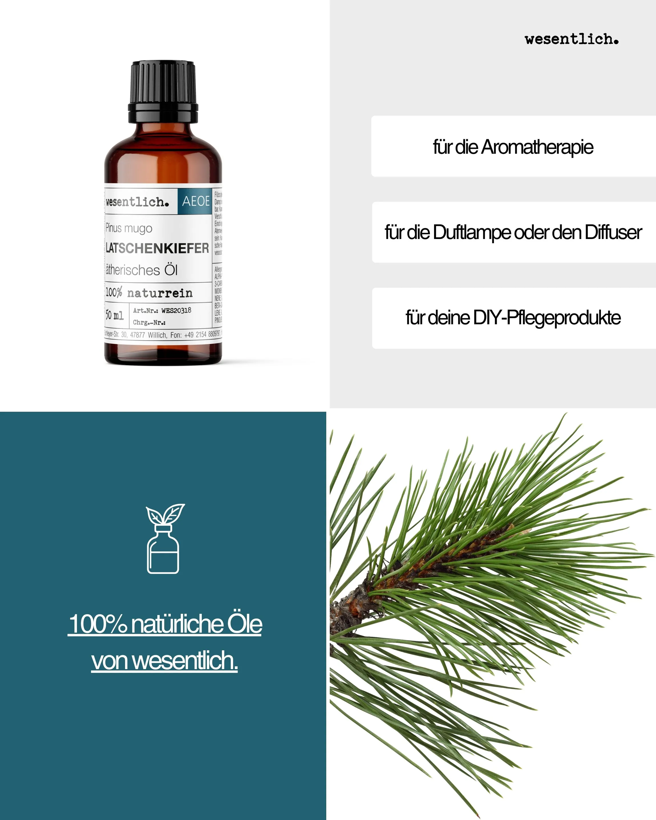 Latschenkiefer  50ml