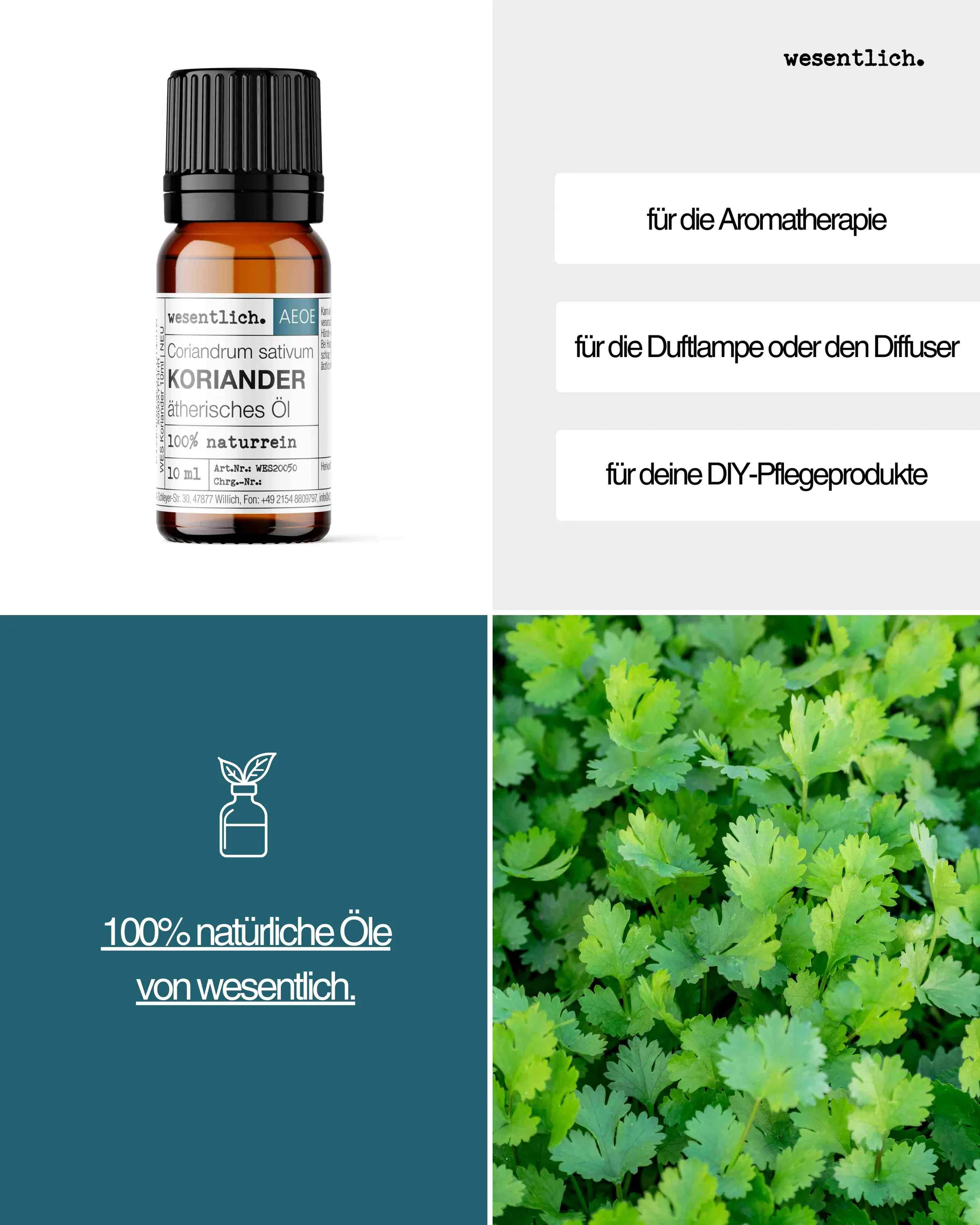 Koriander 10ml