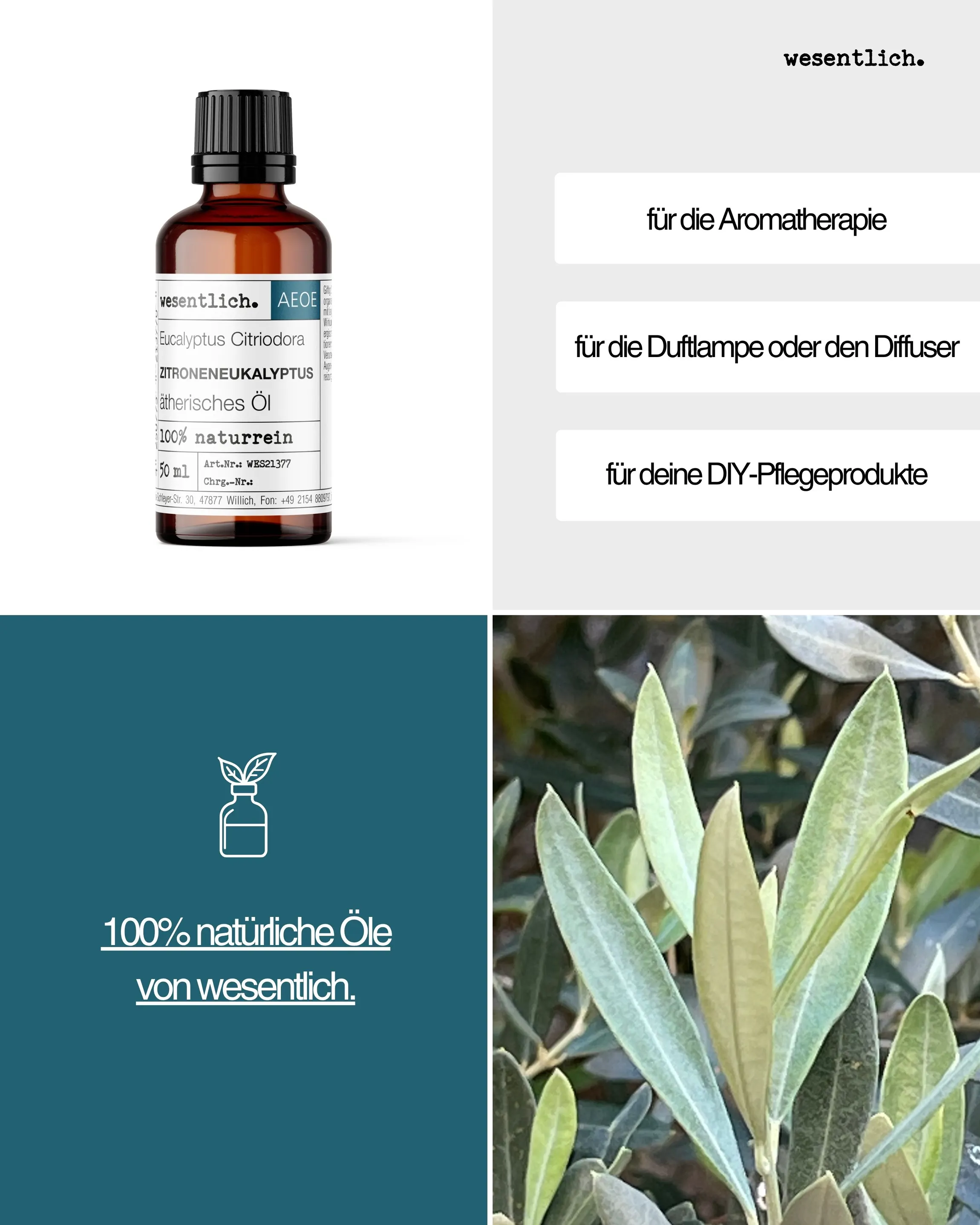 Zitroneneukalyptus  50ml