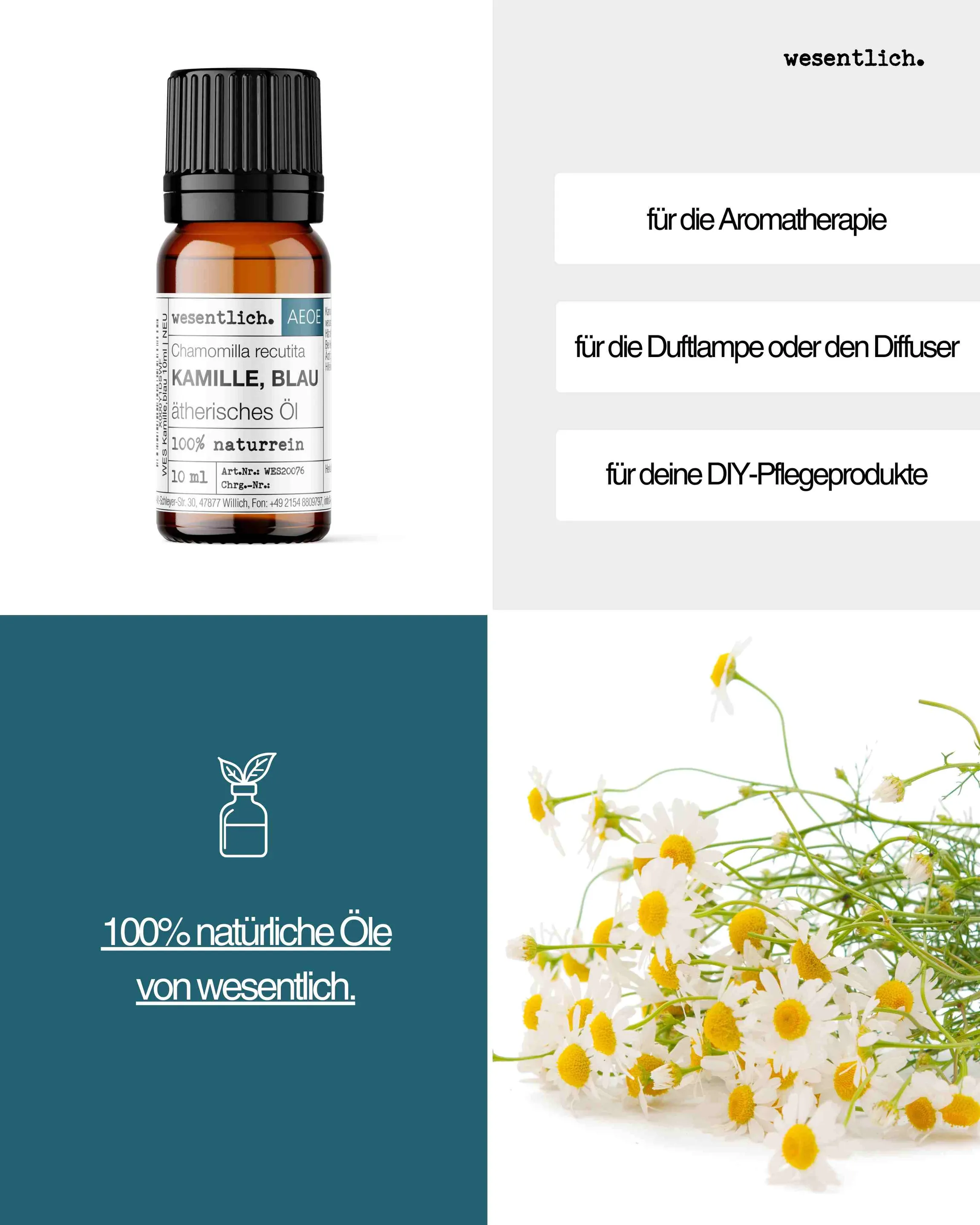 Kamille, blau  10ml