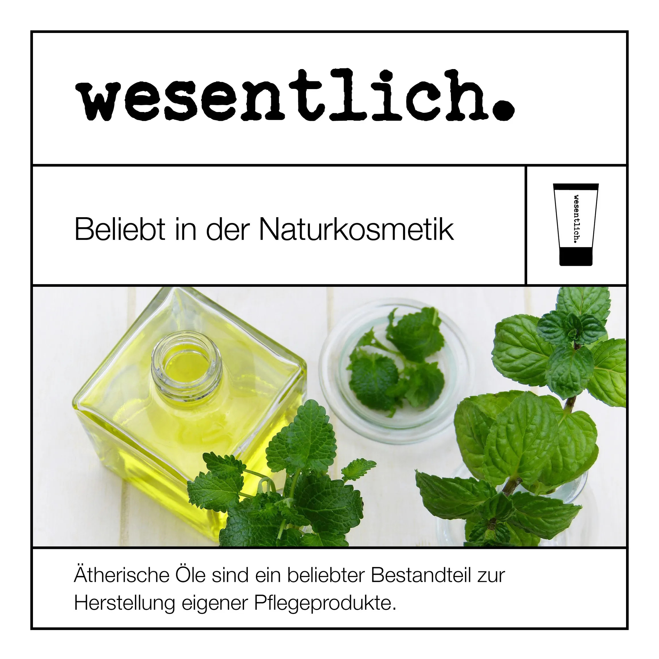 Set aus 8 ausgewählten ätherischen Ölen - "No.5" 8x10ml