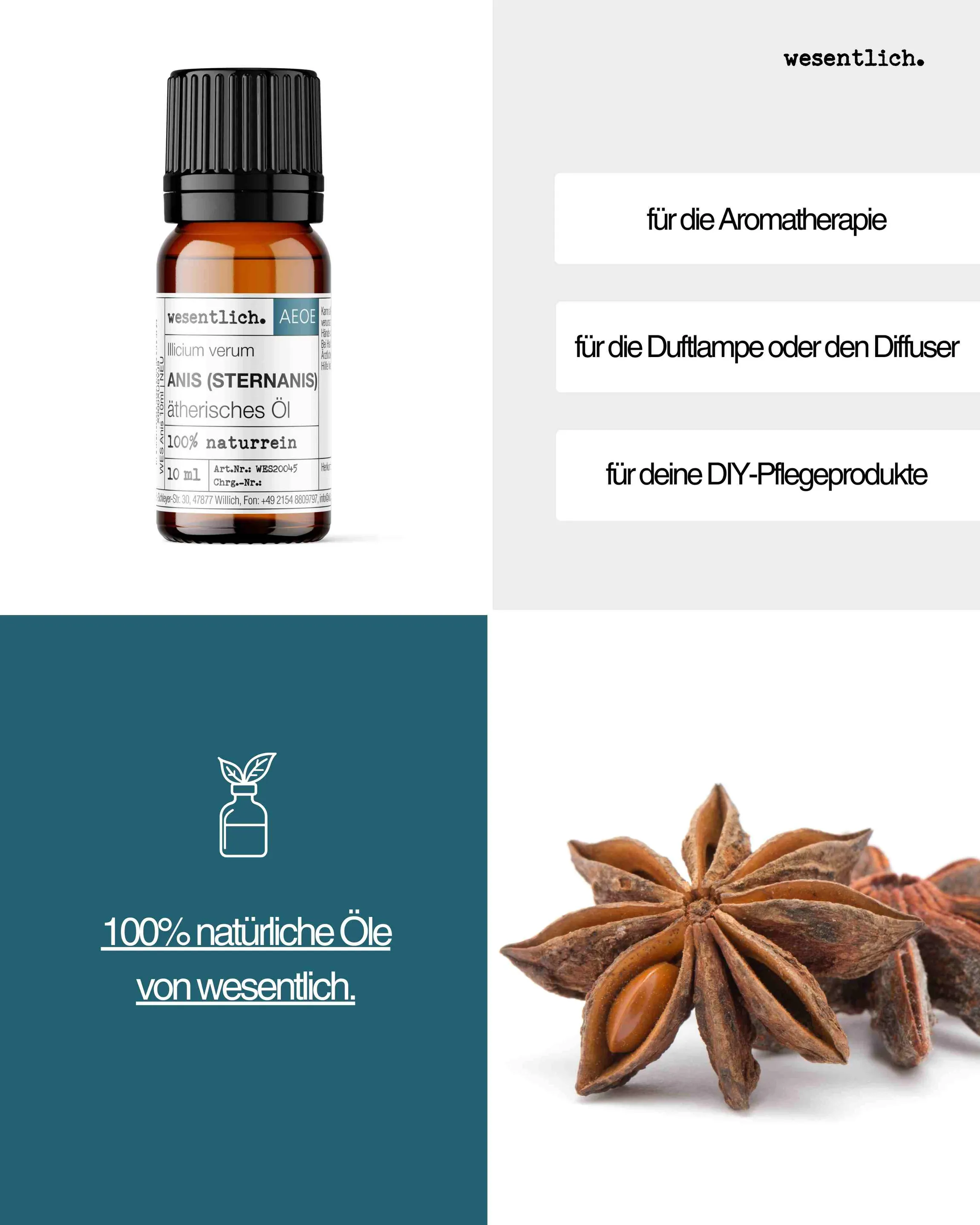 Anis (Sternanis) 10ml