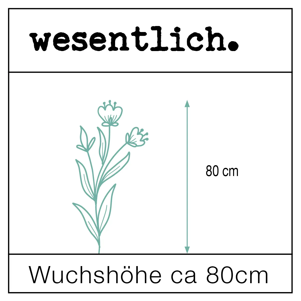 Wildblumenmischung