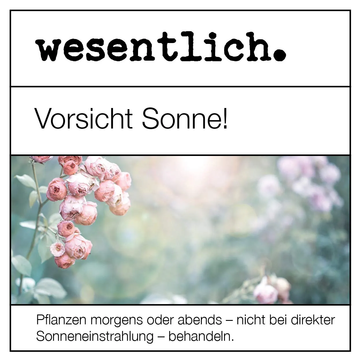 wesentlich Neemöl mit Emulgator 250ml