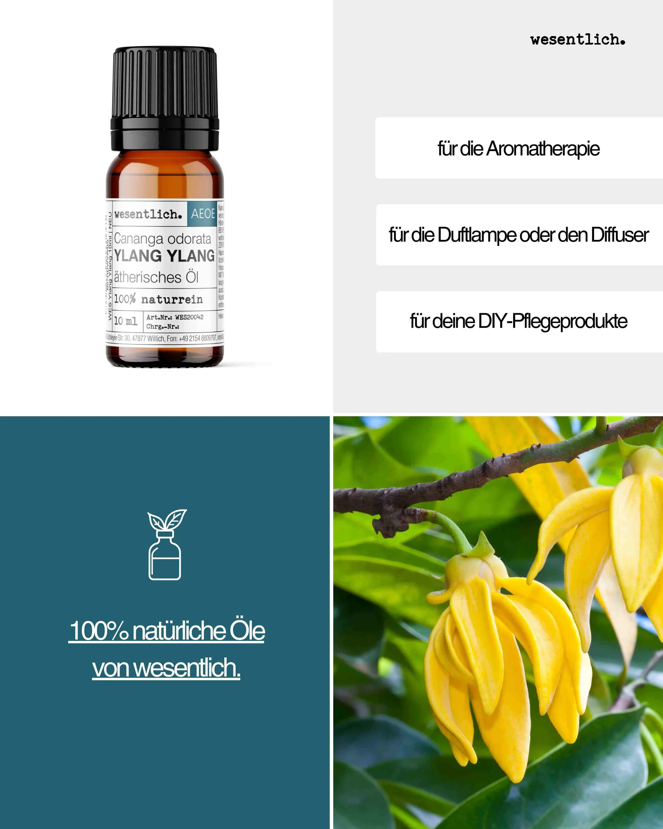 Ylang Ylang  10ml