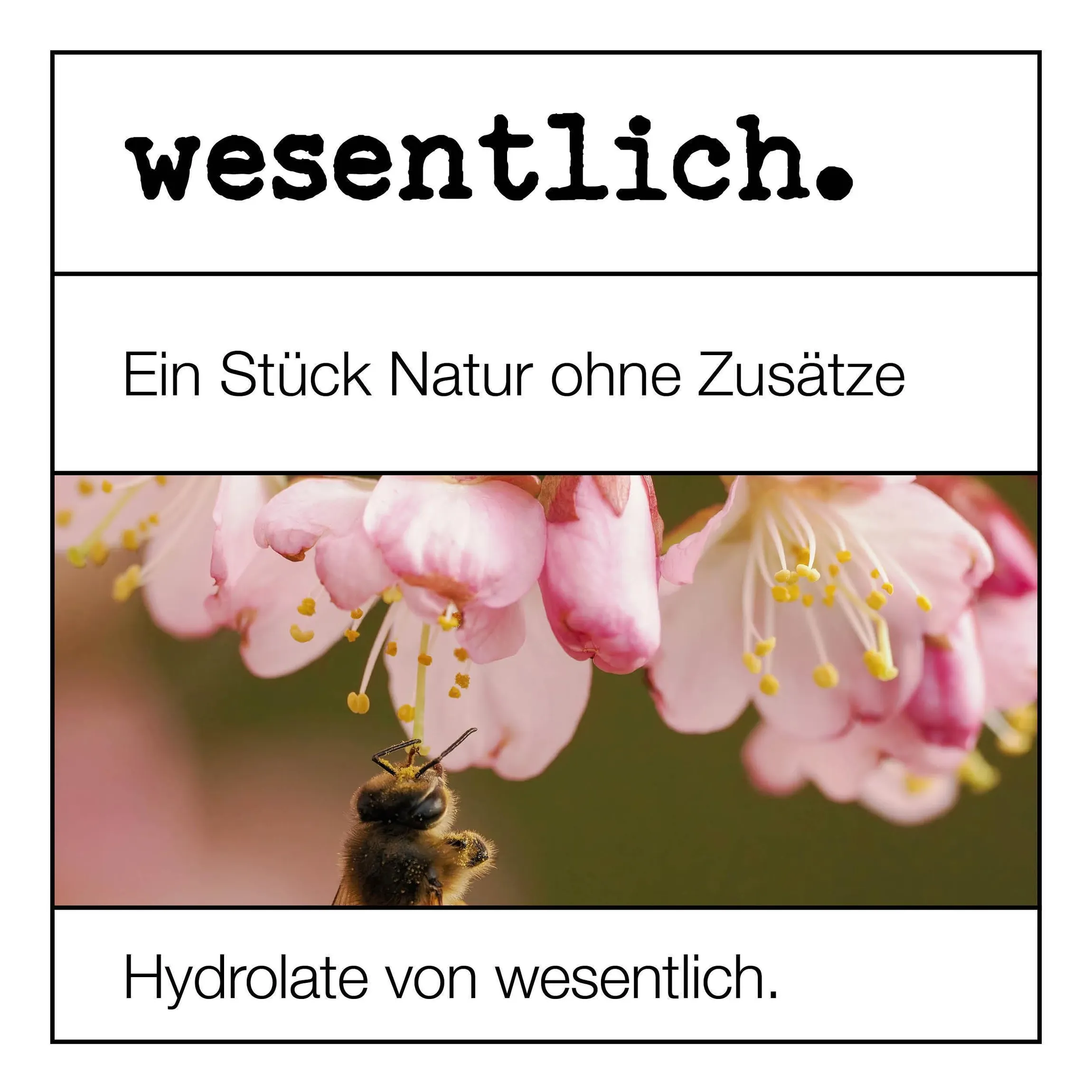 Muskatellersalbeiwasser bio 