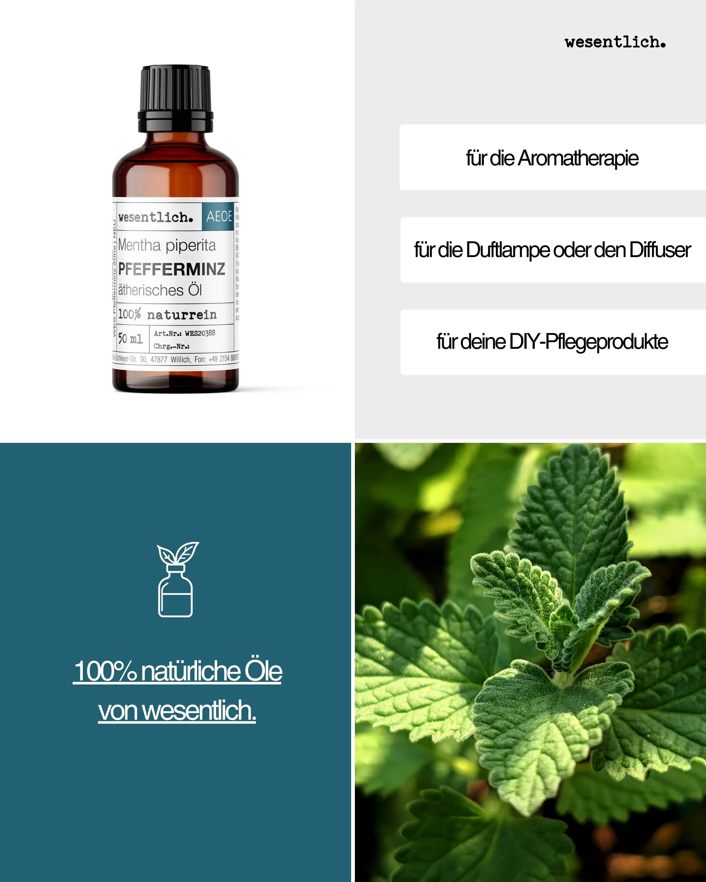 Pfefferminz  50ml