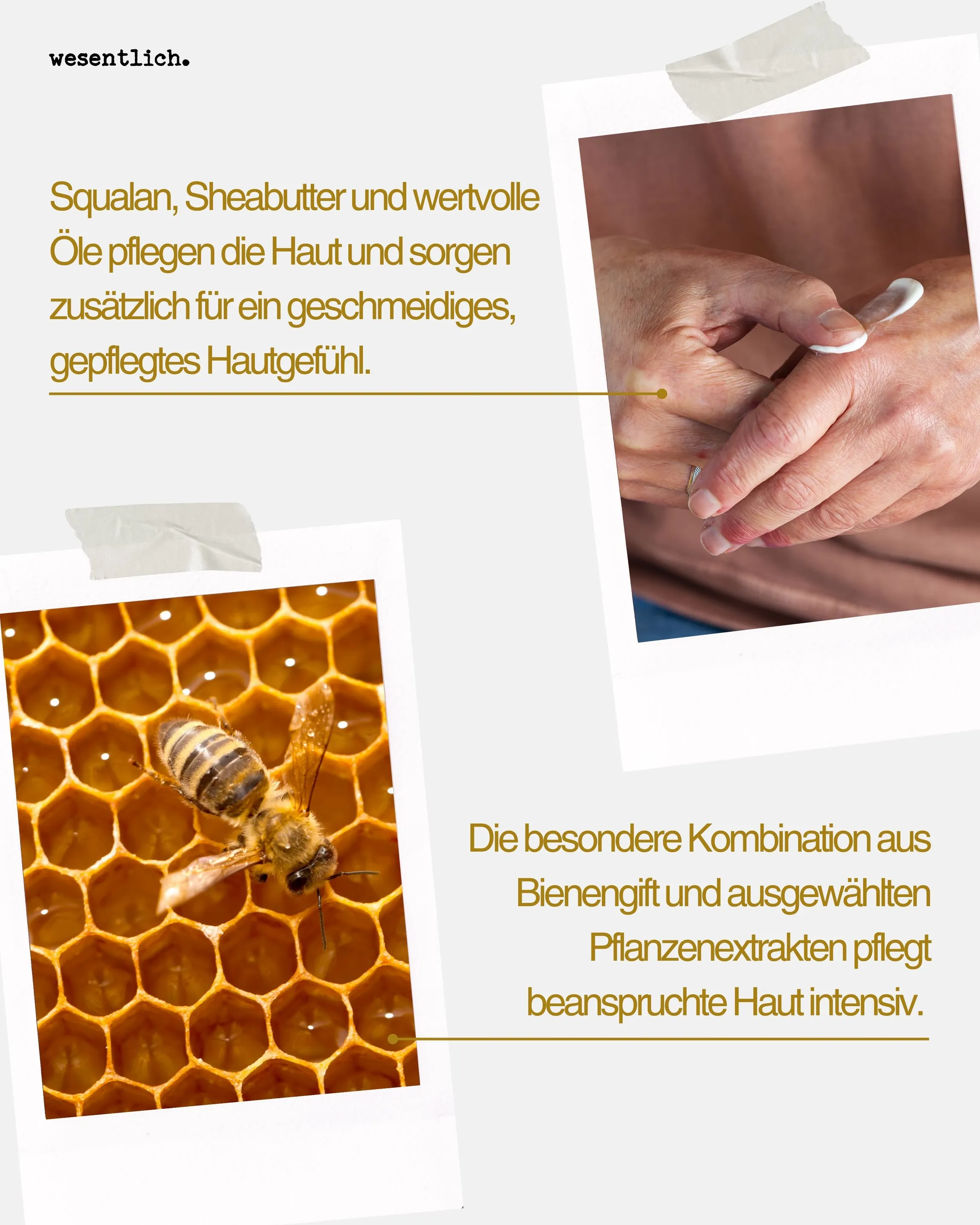 Bienengiftsalbe