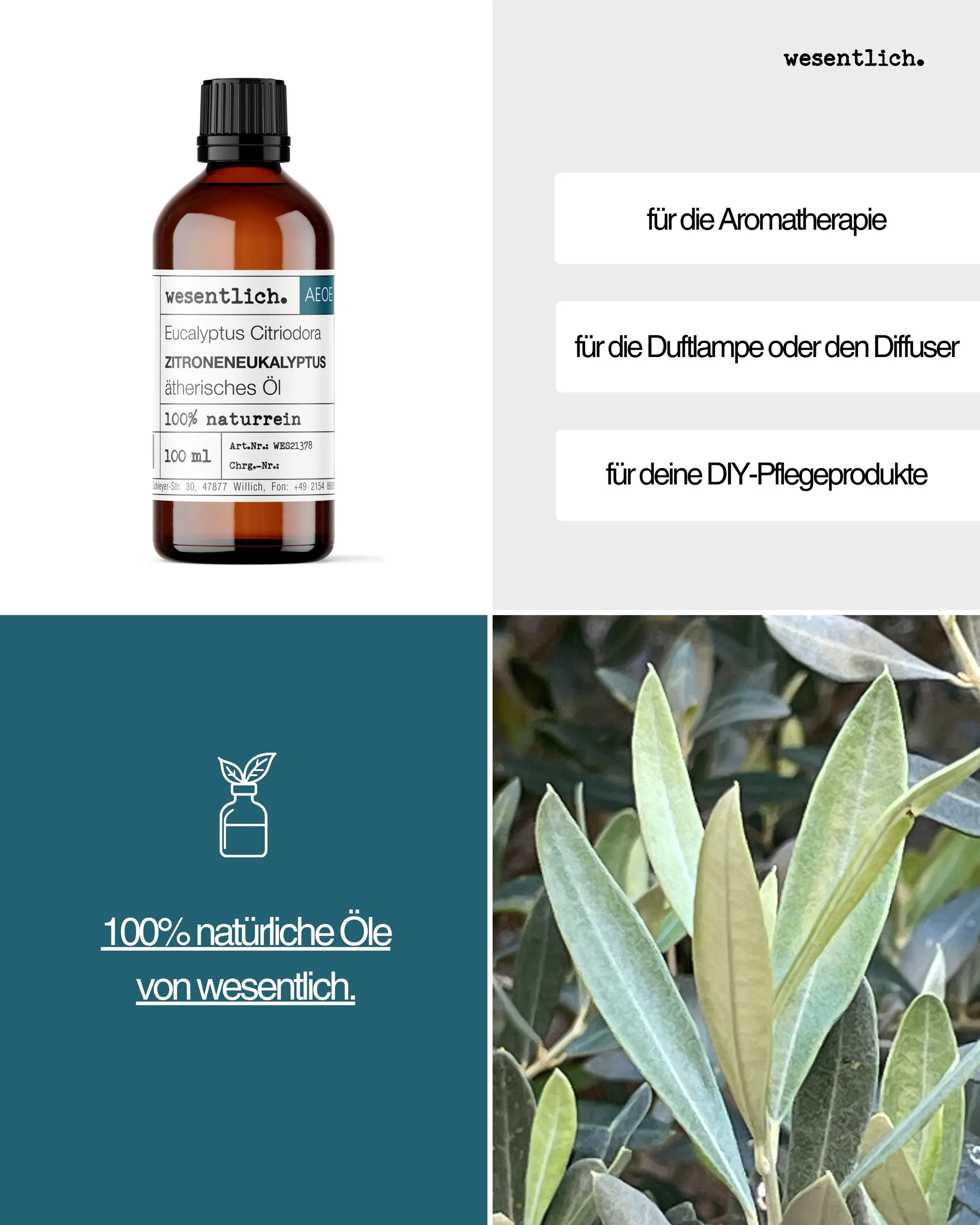 Zitroneneukalyptus  100ml