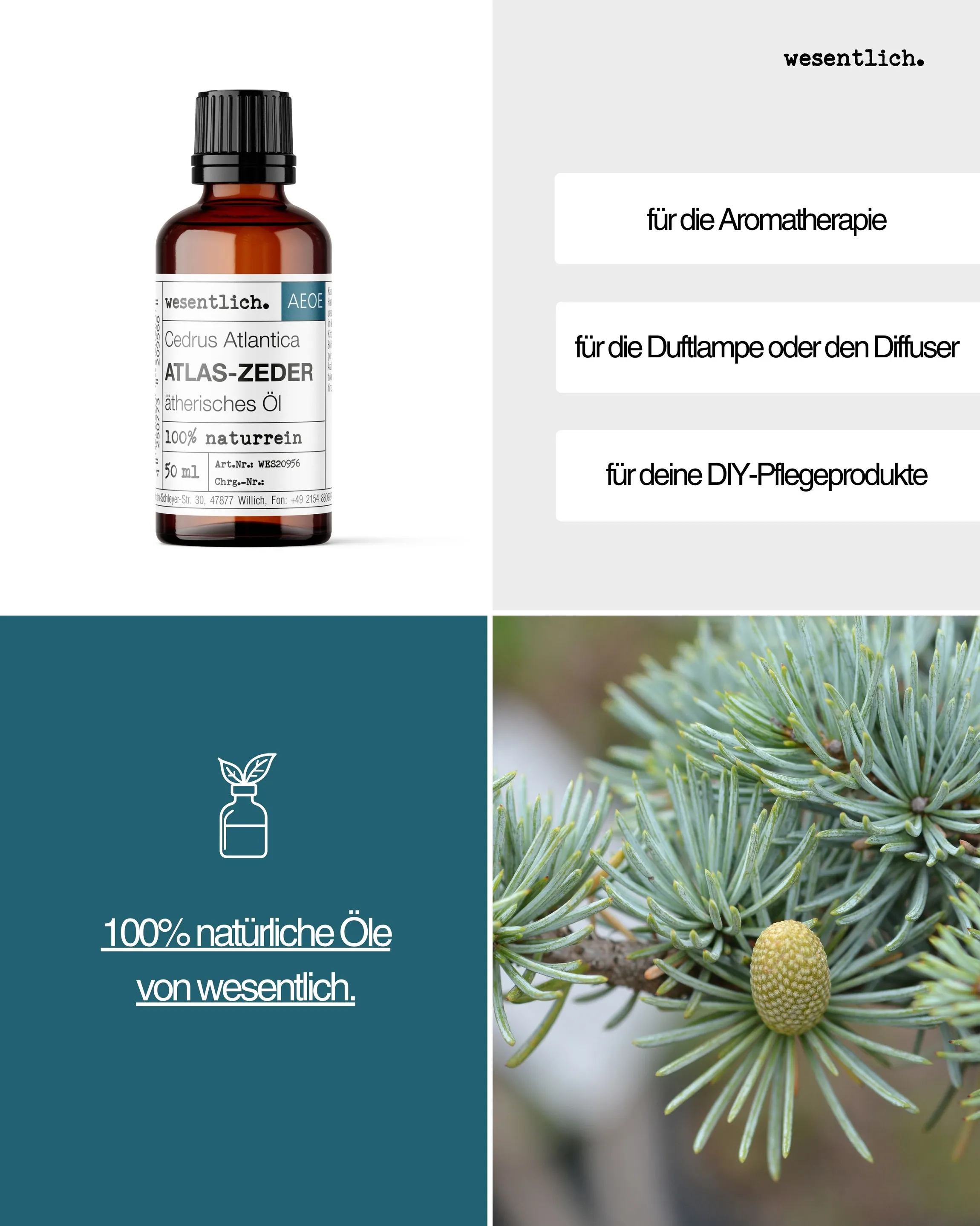 Atlas-Zedernholz 50ml