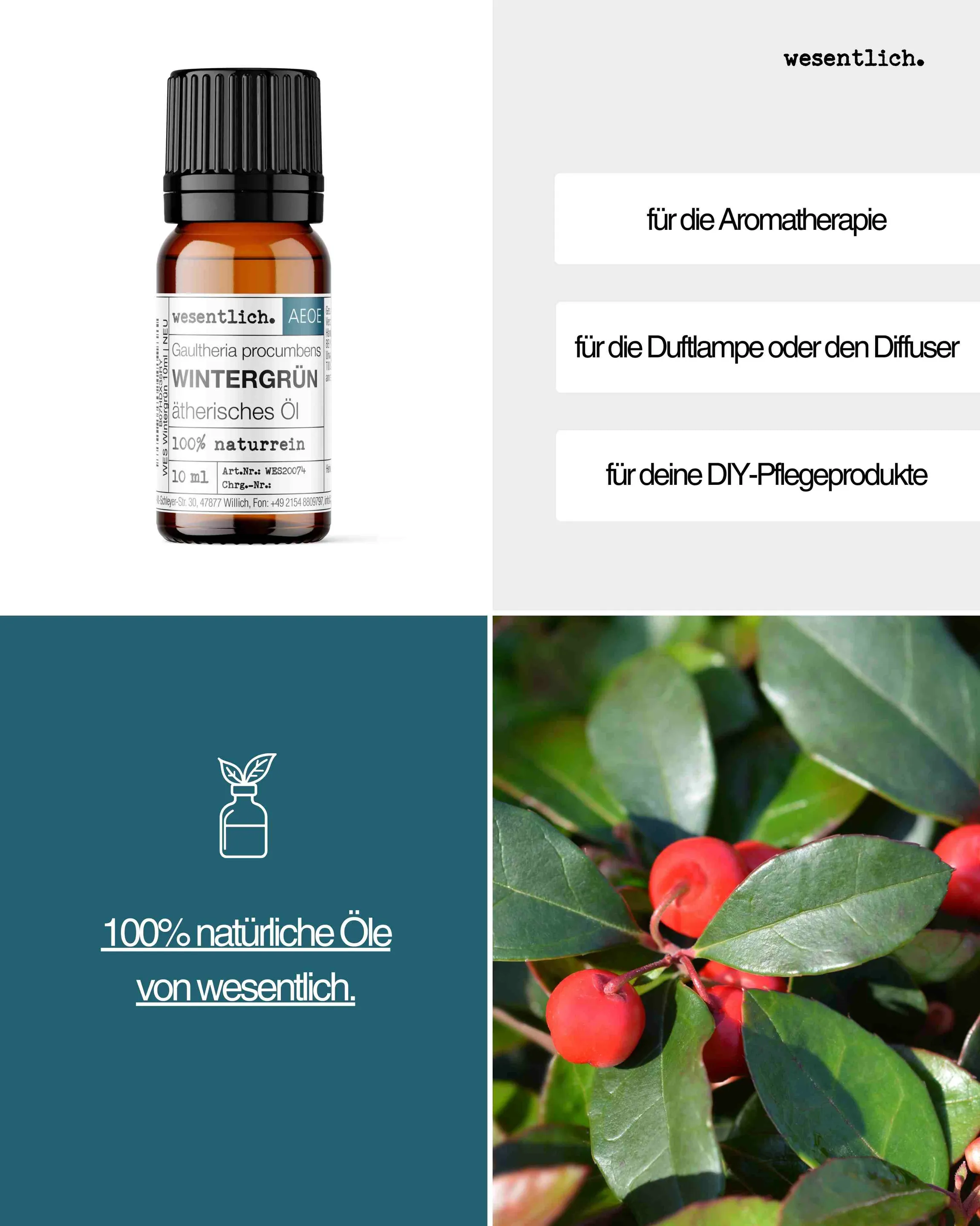 Wintergrün 10ml