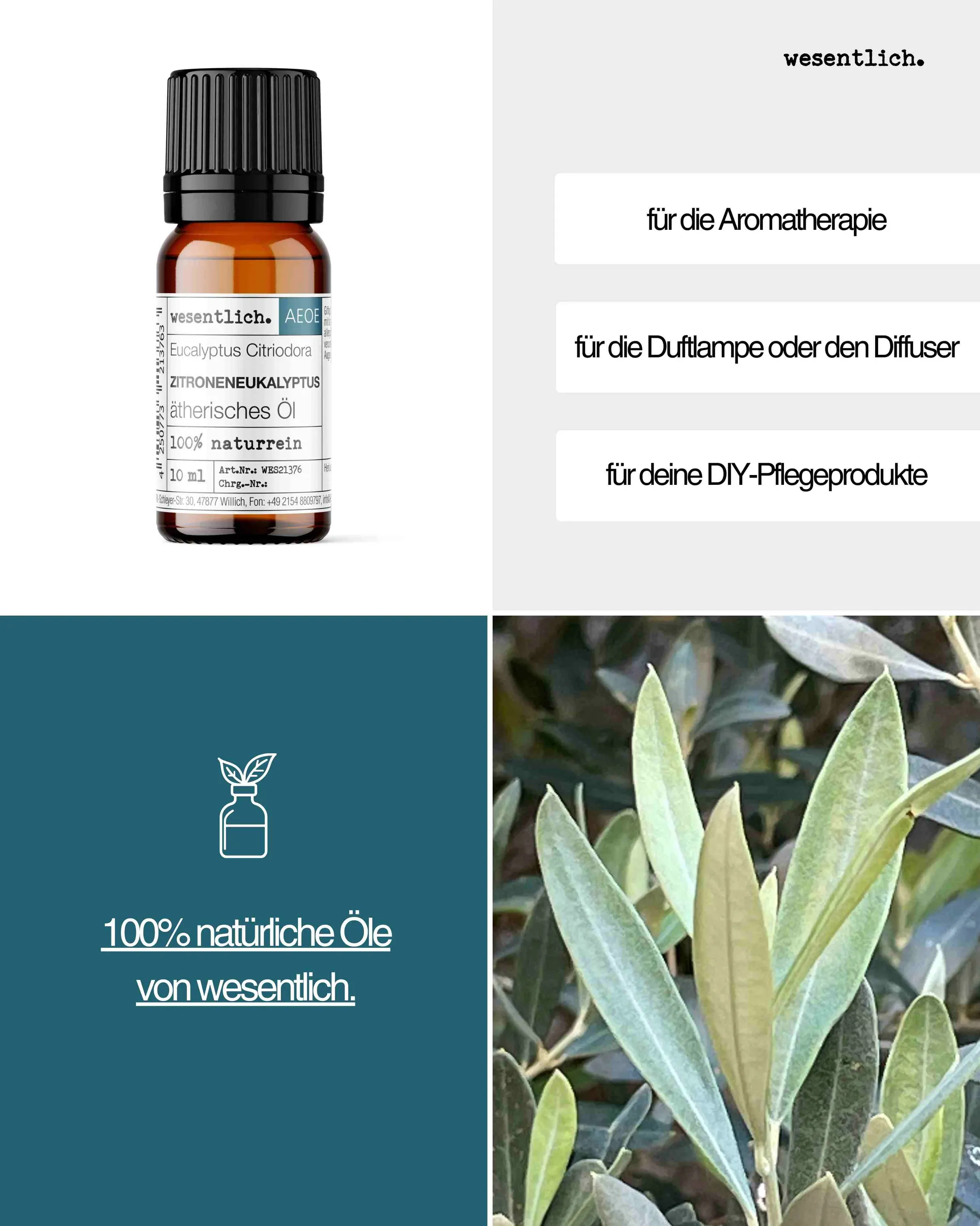 Zitroneneukalyptus  10ml