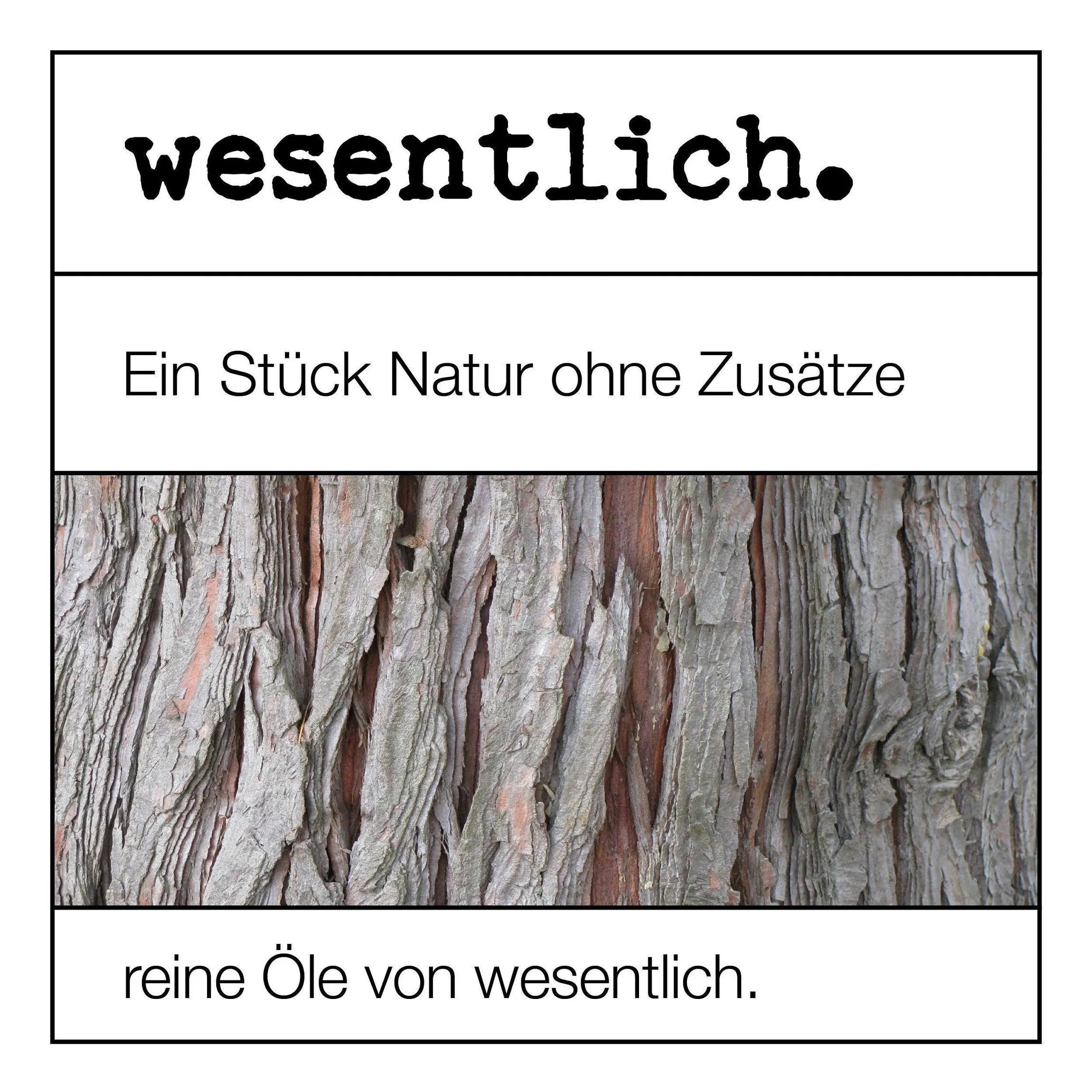 Set aus 8 ausgewählten ätherischen Ölen - "No.5" 8x10ml