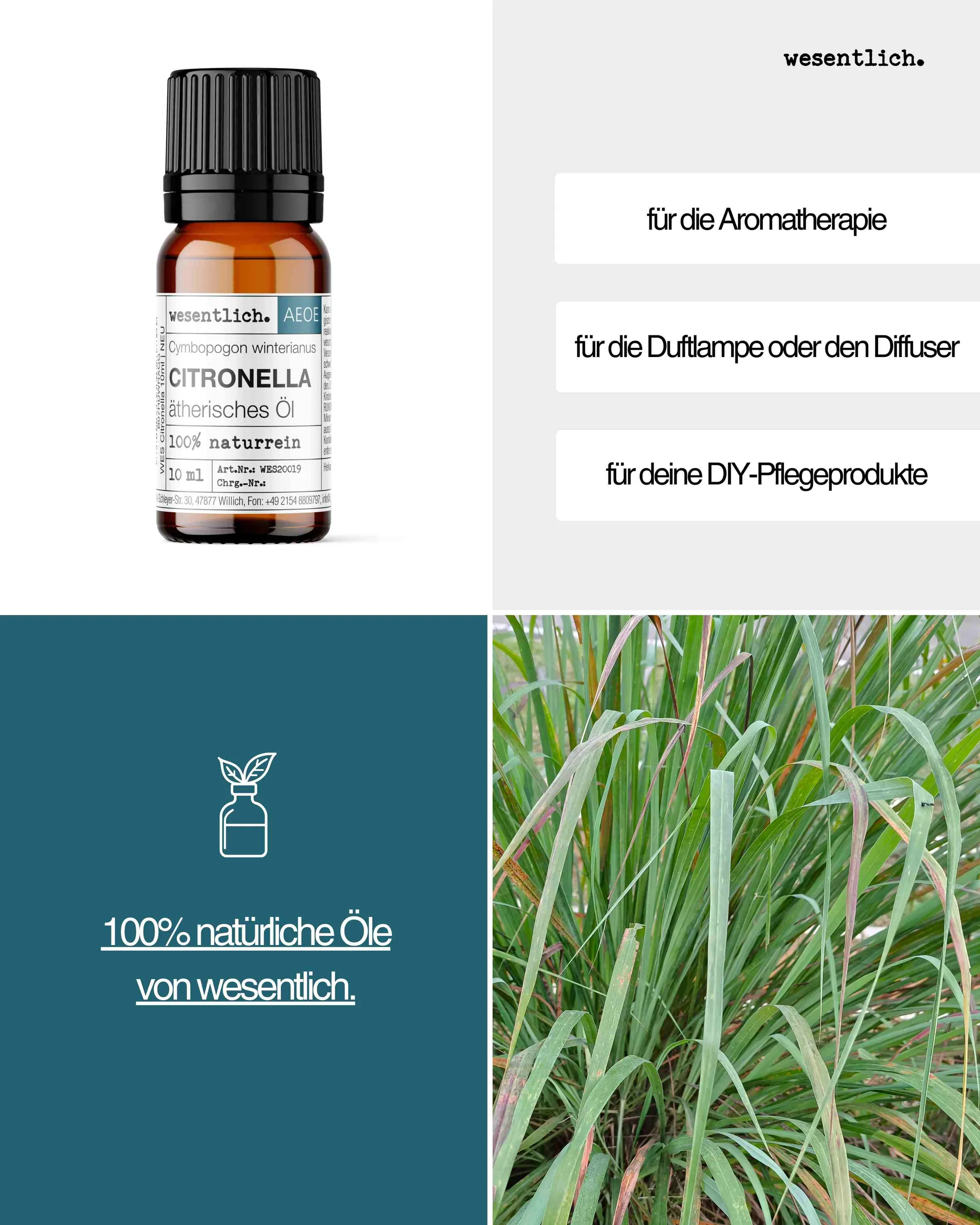 Citronella 10ml