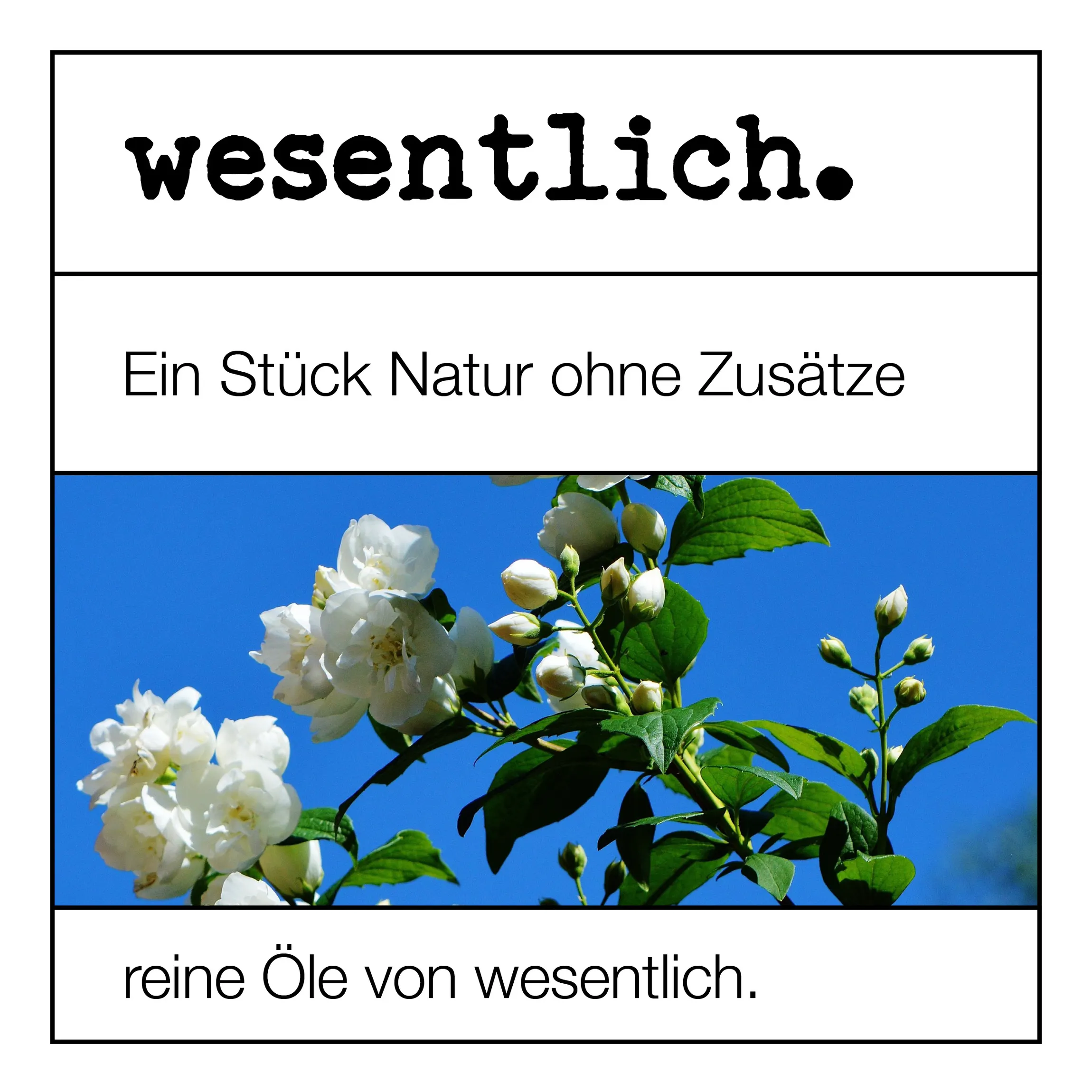 Set aus 8 ausgewählten ätherischen Ölen - "No.2" 8x10ml
