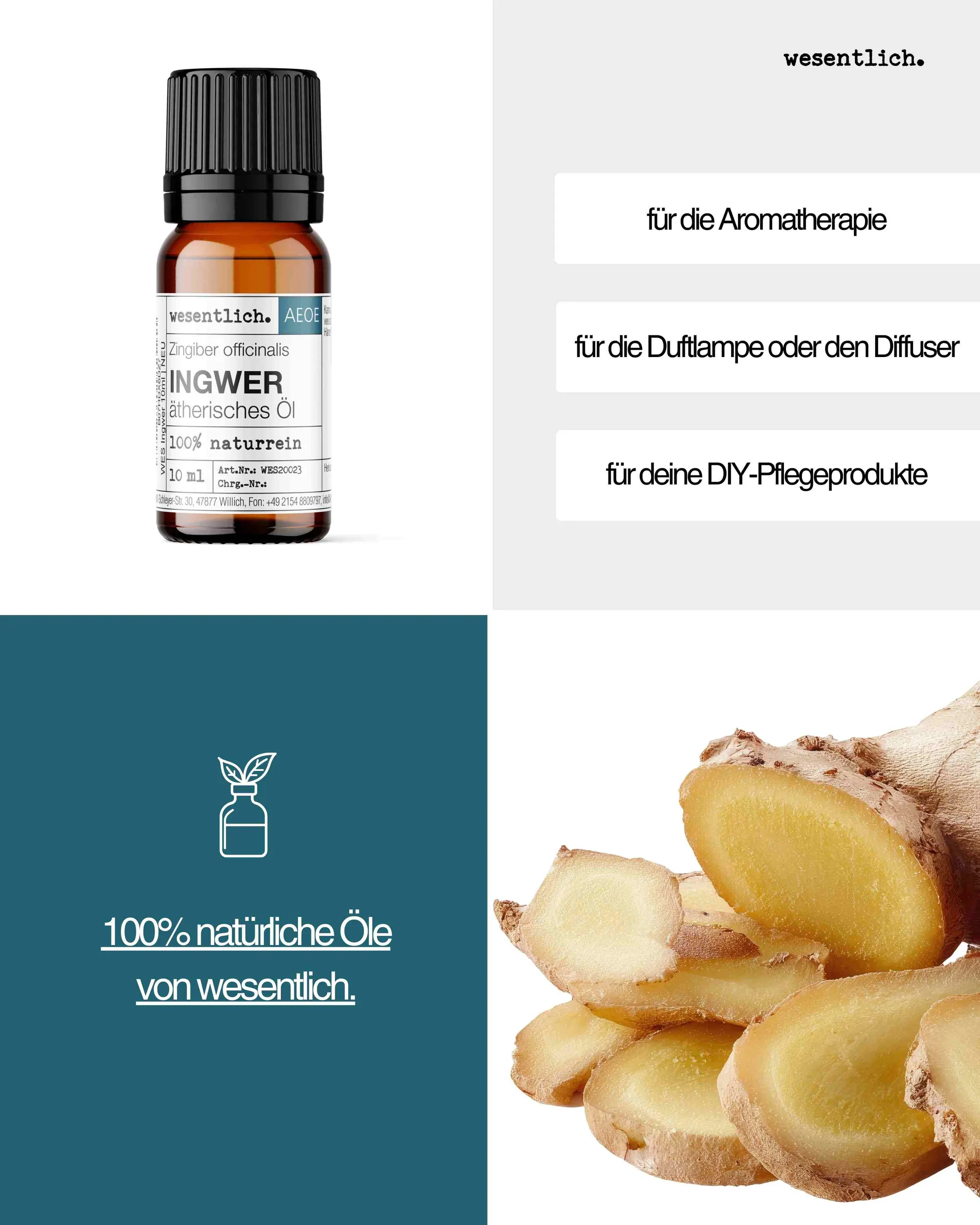 Ingwer 10ml