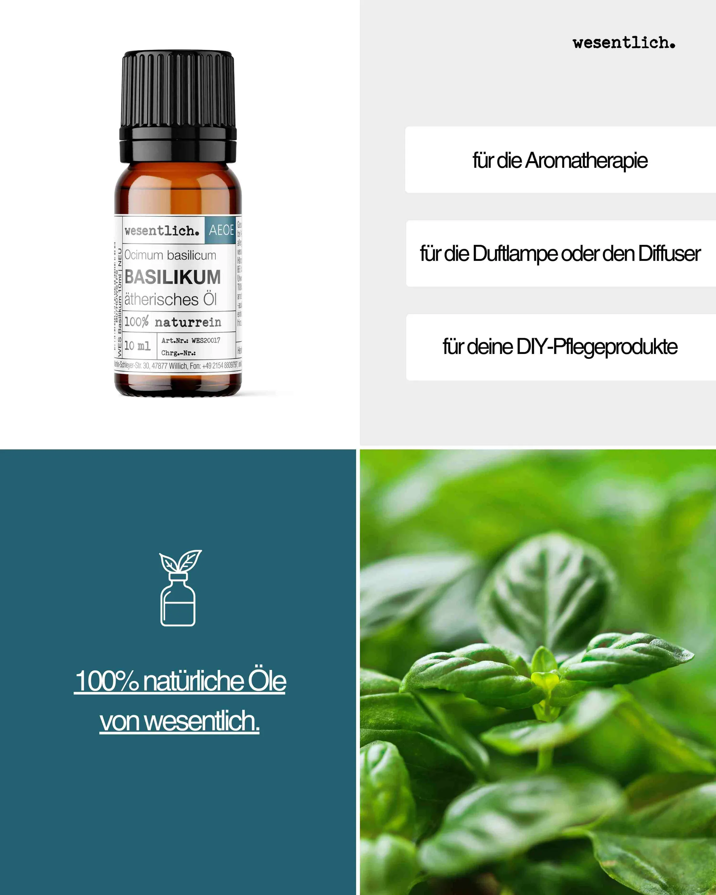 Basilikum 10ml